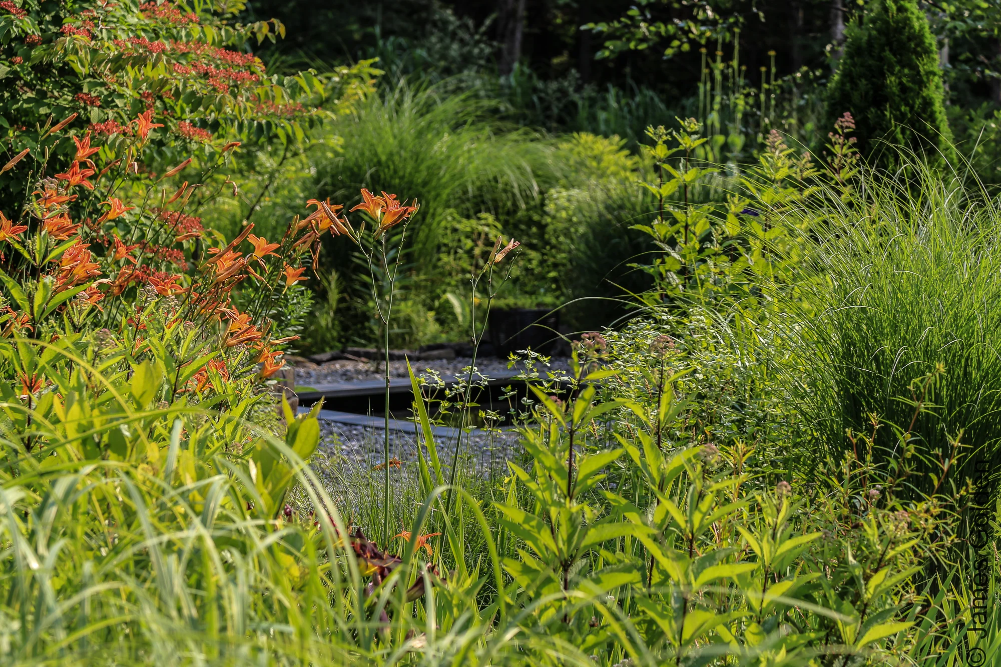 20150705-untitled--2.jpg