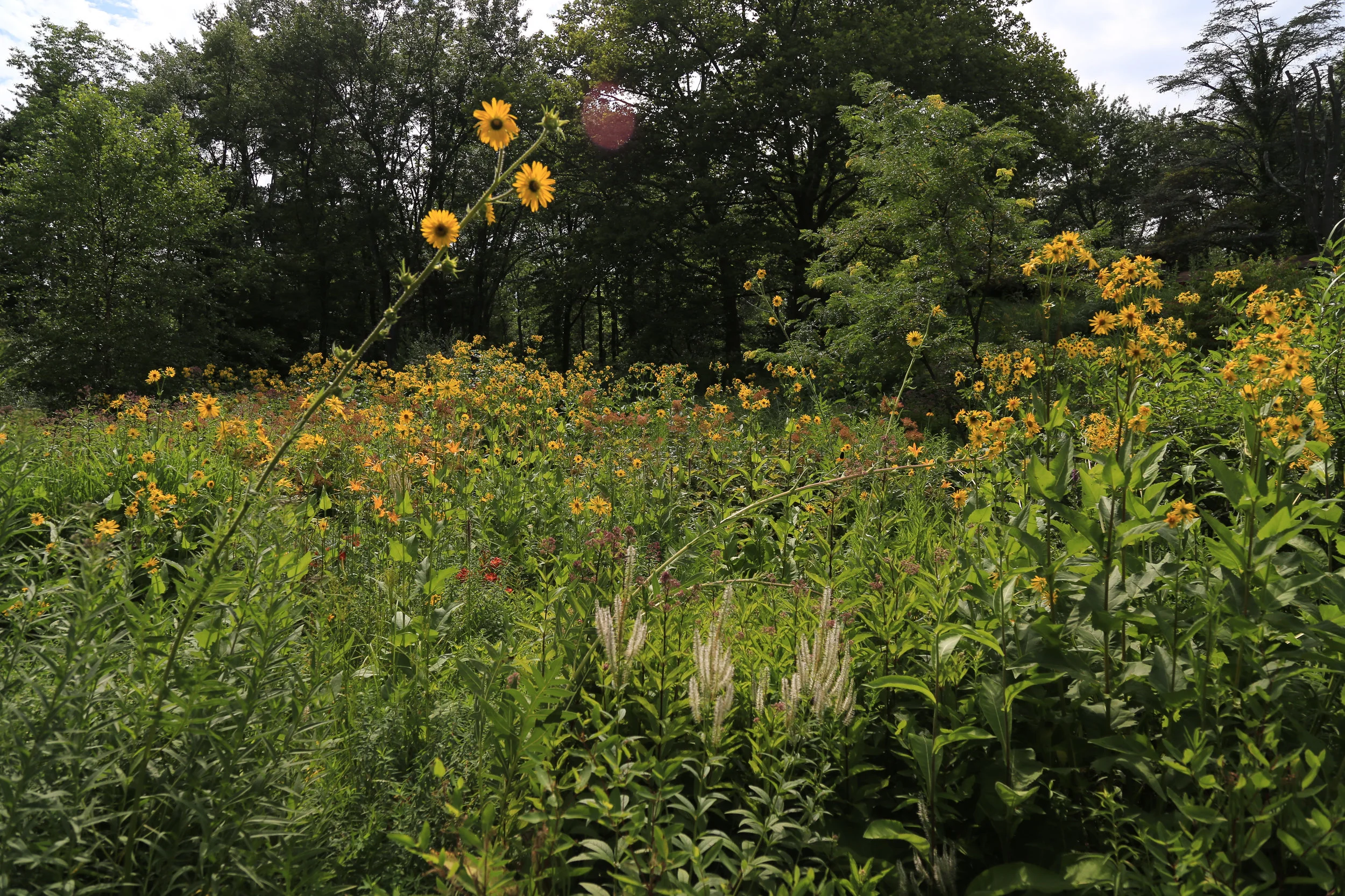 20160724-FTD web-4-5new.jpg