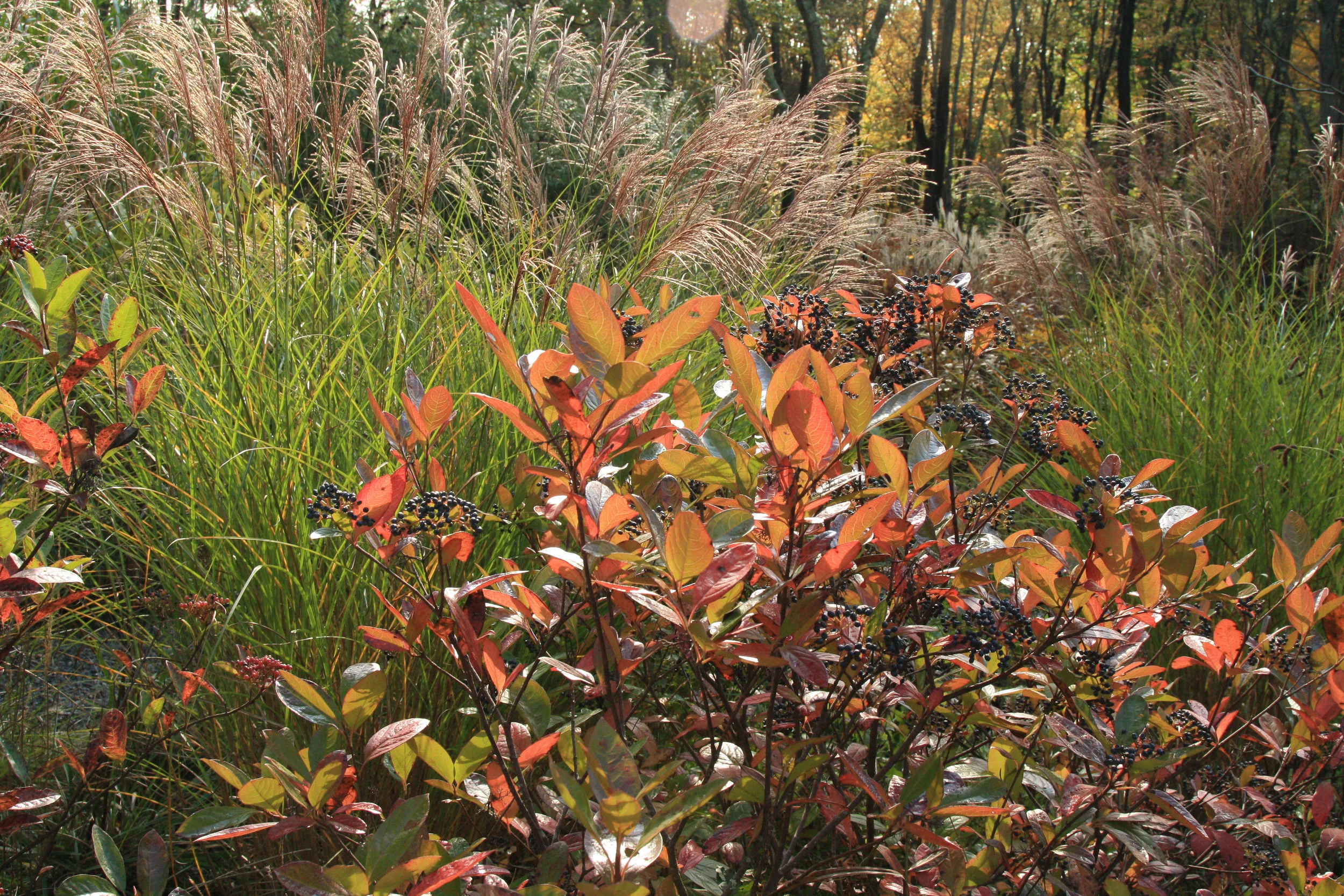 20141017-FTD web-4new.jpg