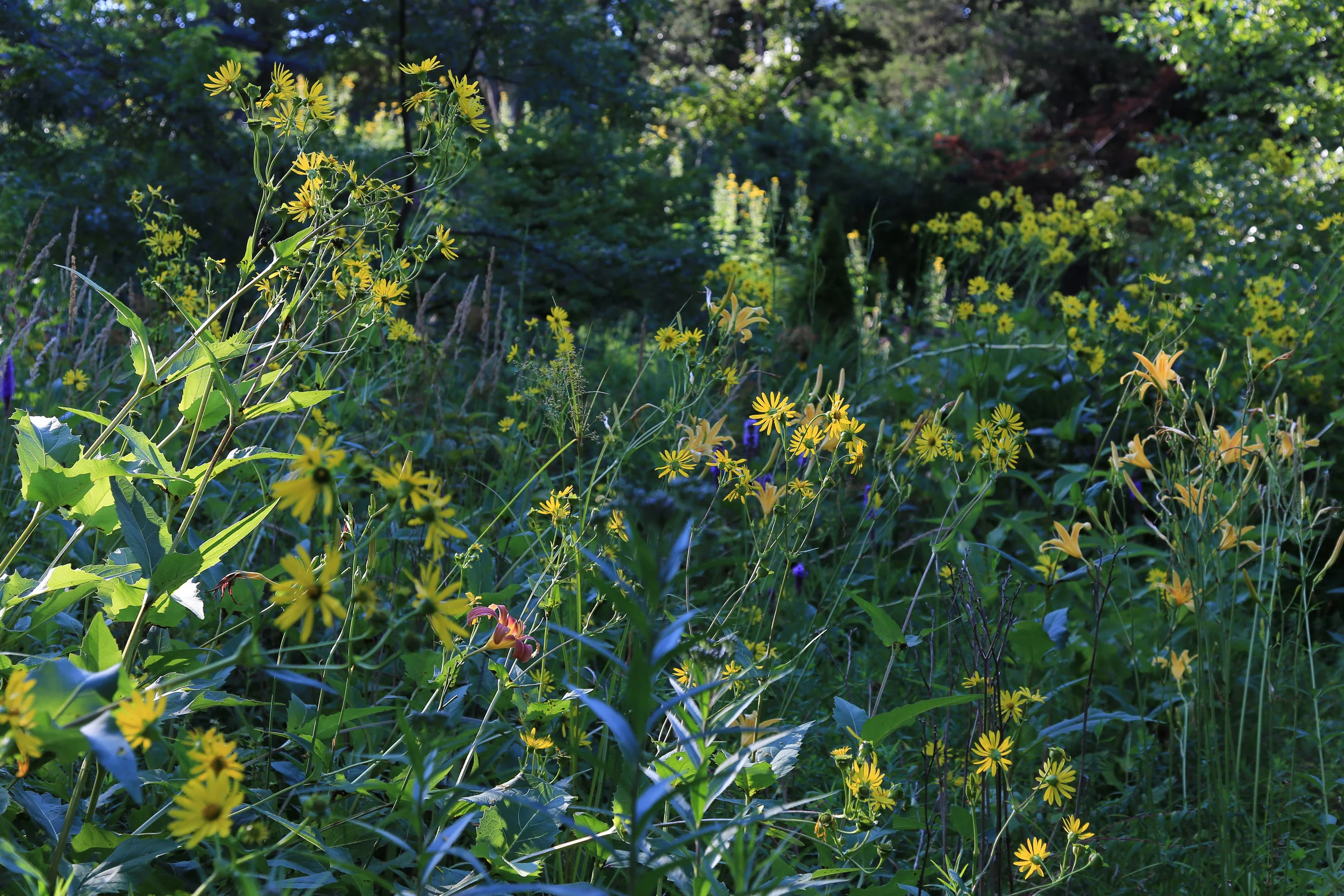 20160804-FTD web-4-4new.jpg