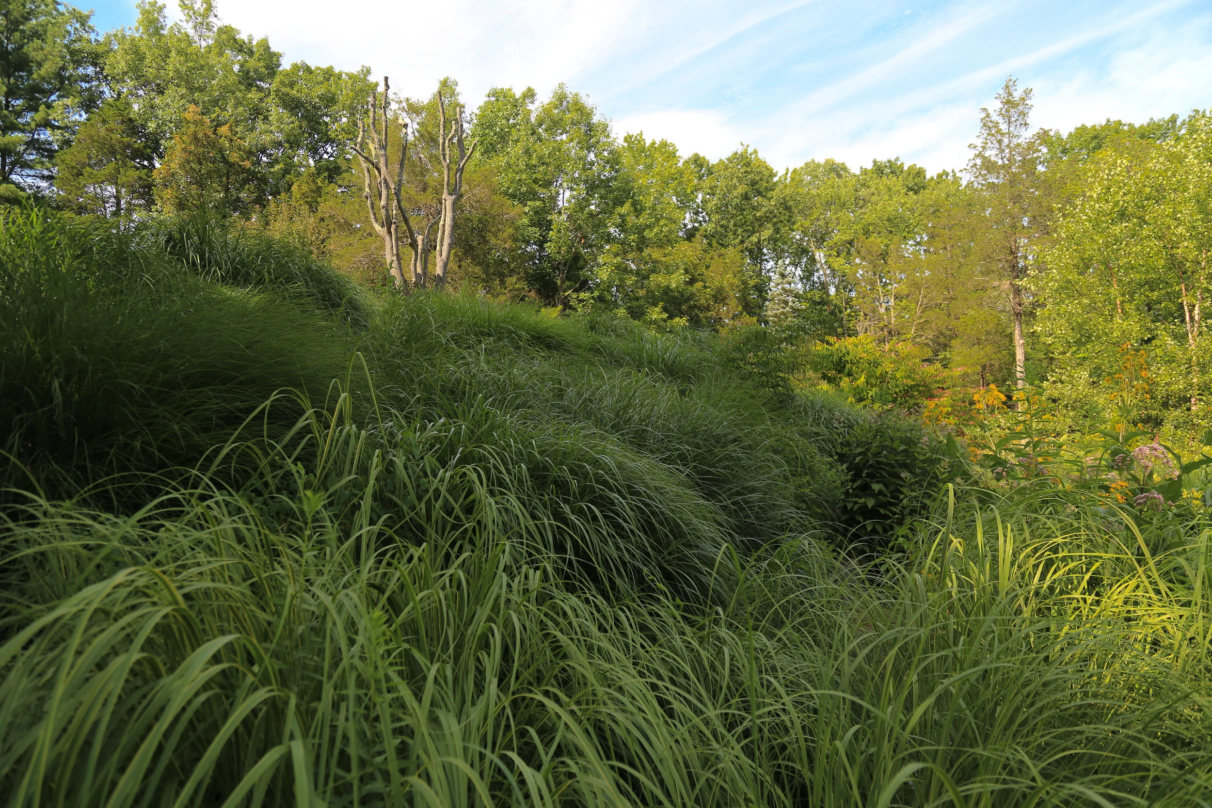 20160724-FTD web-4new.jpg