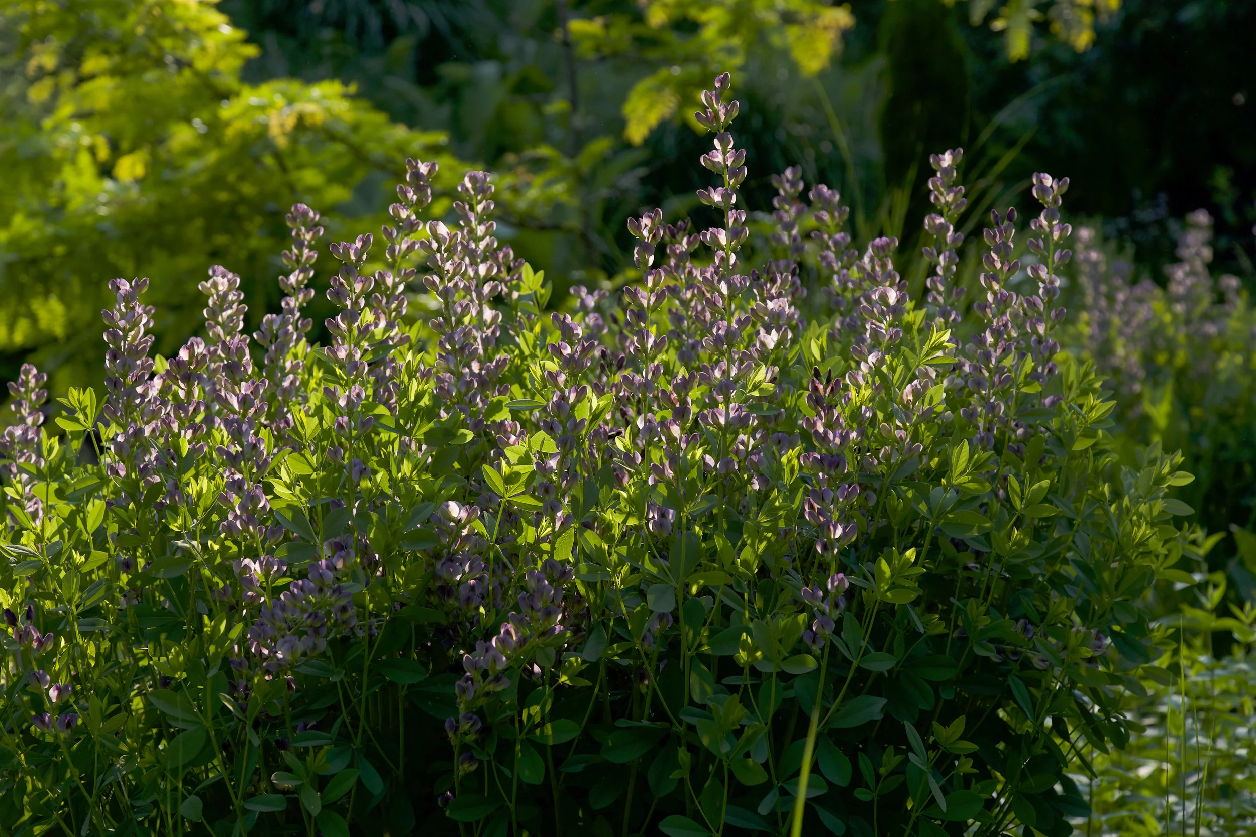 20160601-FTD web-4-2new.jpg