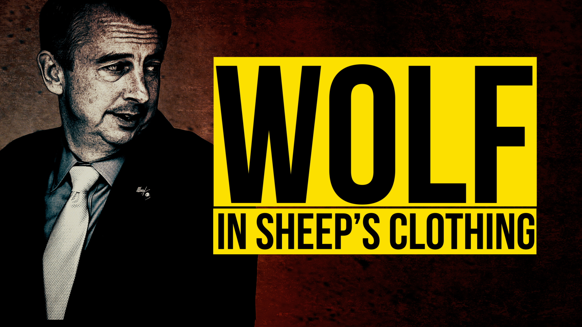 WOLF IN SHEEP'S CLOTHING–ENGLISH