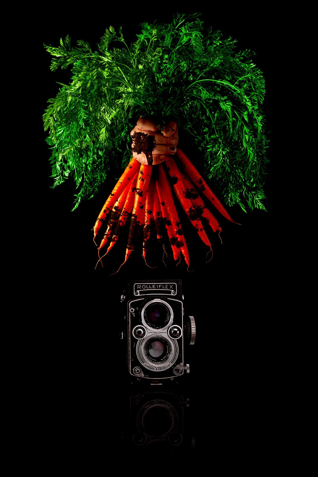 CARROT_CAM_Cover.jpg