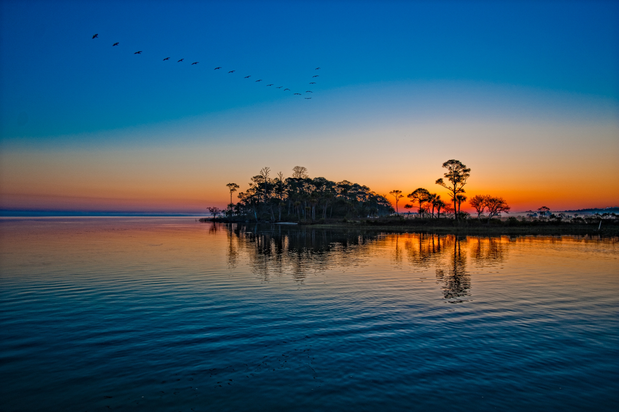 VIC_0680.jpg