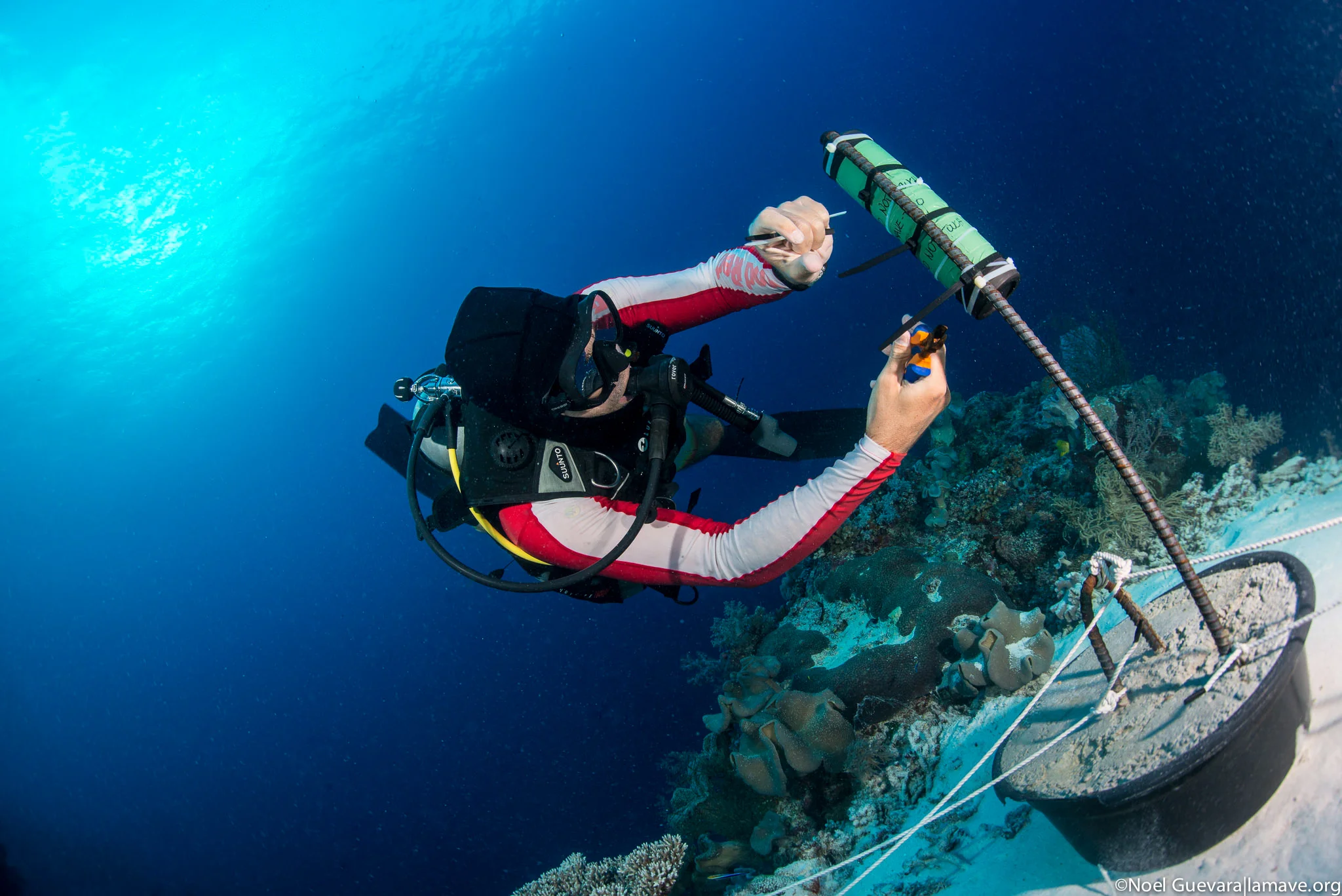 Lamave_Tubba_Underwater_low__11.jpg