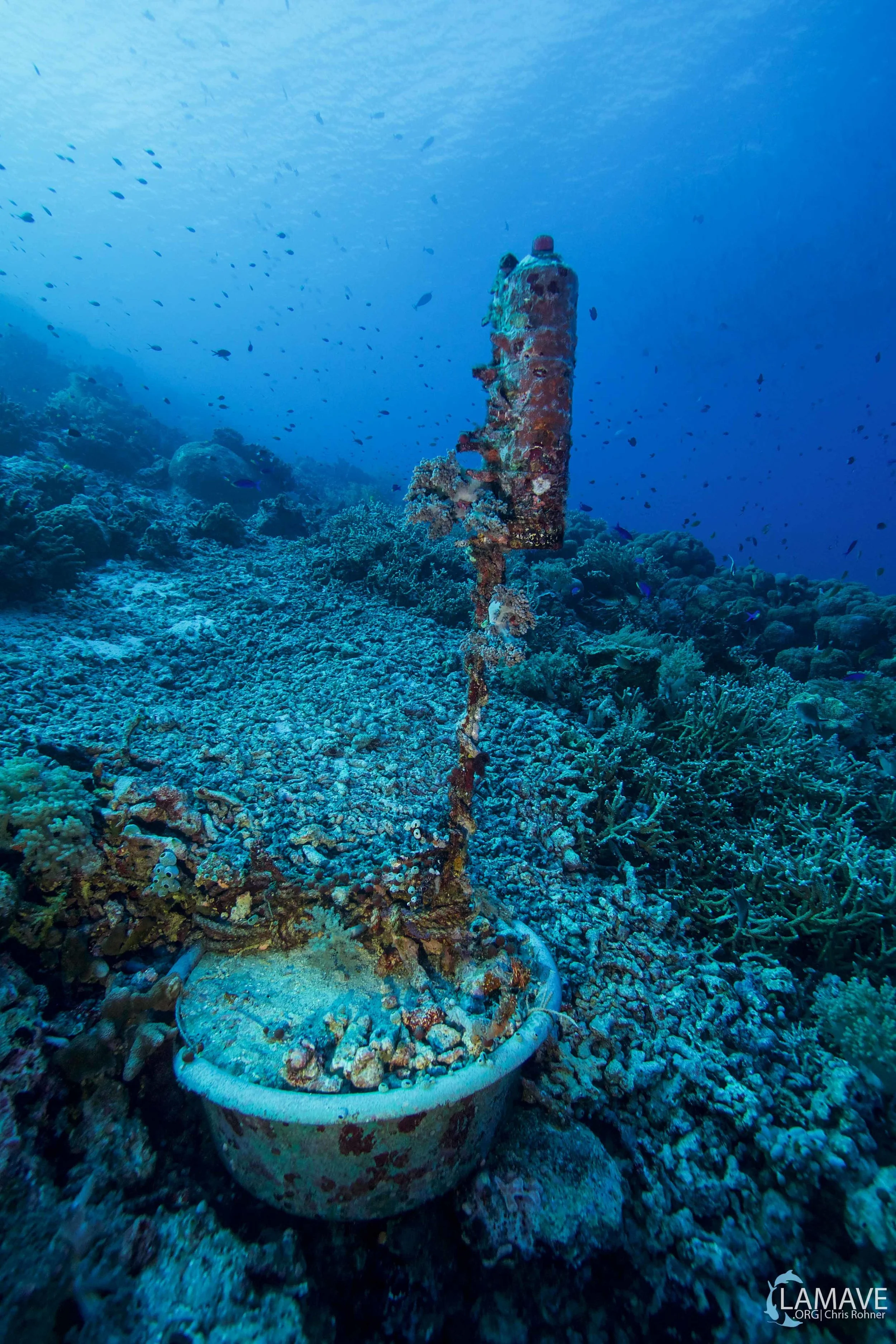 Acoustic Receiver in Tubbataha Reefs Natural Park.