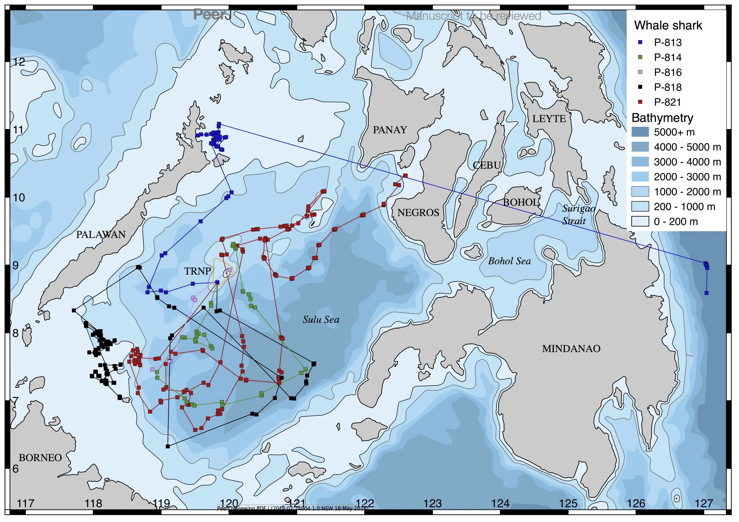 Satellite tracks of whale sharks tagged in TRNP.