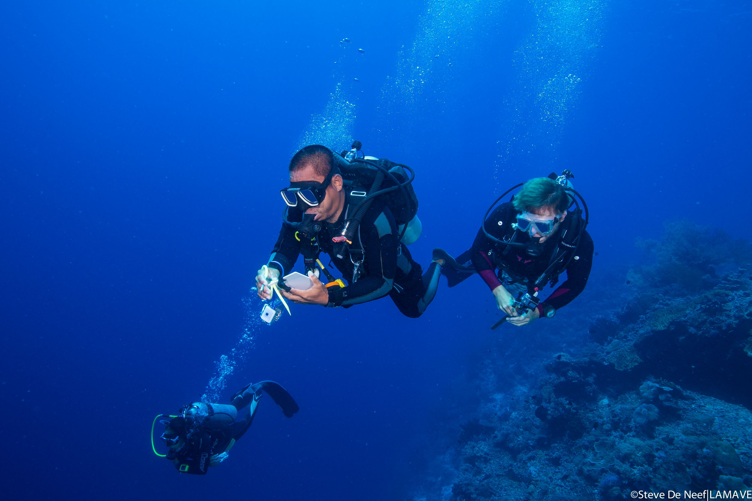   Photo 2. Jessica Labaja, Segundo Conales Jr and Ryan Murray conduct an UVS in TRNP. Credit: Steve De Neef|LAMAVE.      