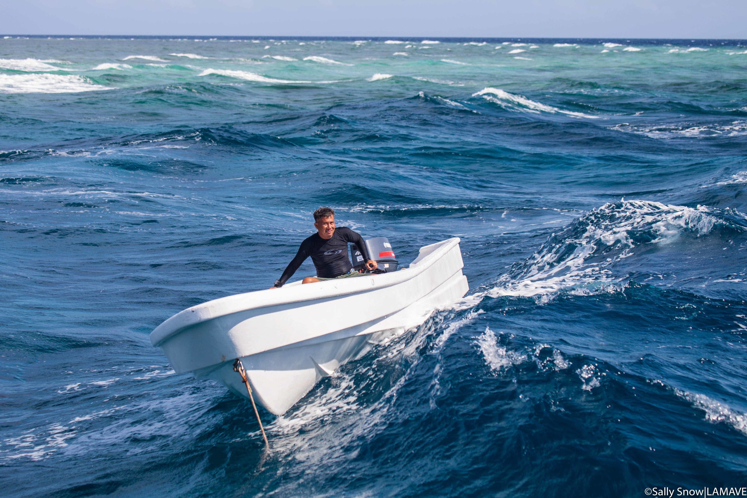   First-mate Don Don handles the research boat in rough weather (Credit: Sally Snow|LAMAVE).  