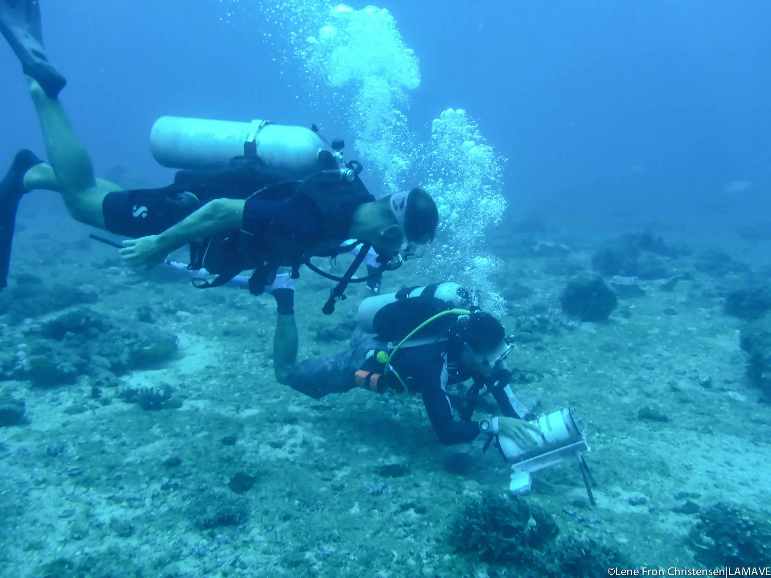 The team carefully position a Remote Underwater Video (RUV) used to record manta ray visitation to the site.
