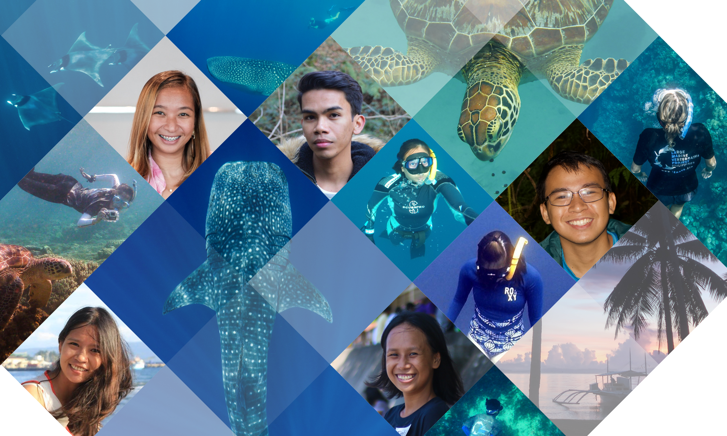LAMAVE Scholars Website Page Intro Banner v2 err.png