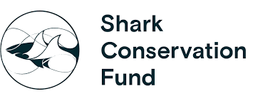 shark conservation fund.png