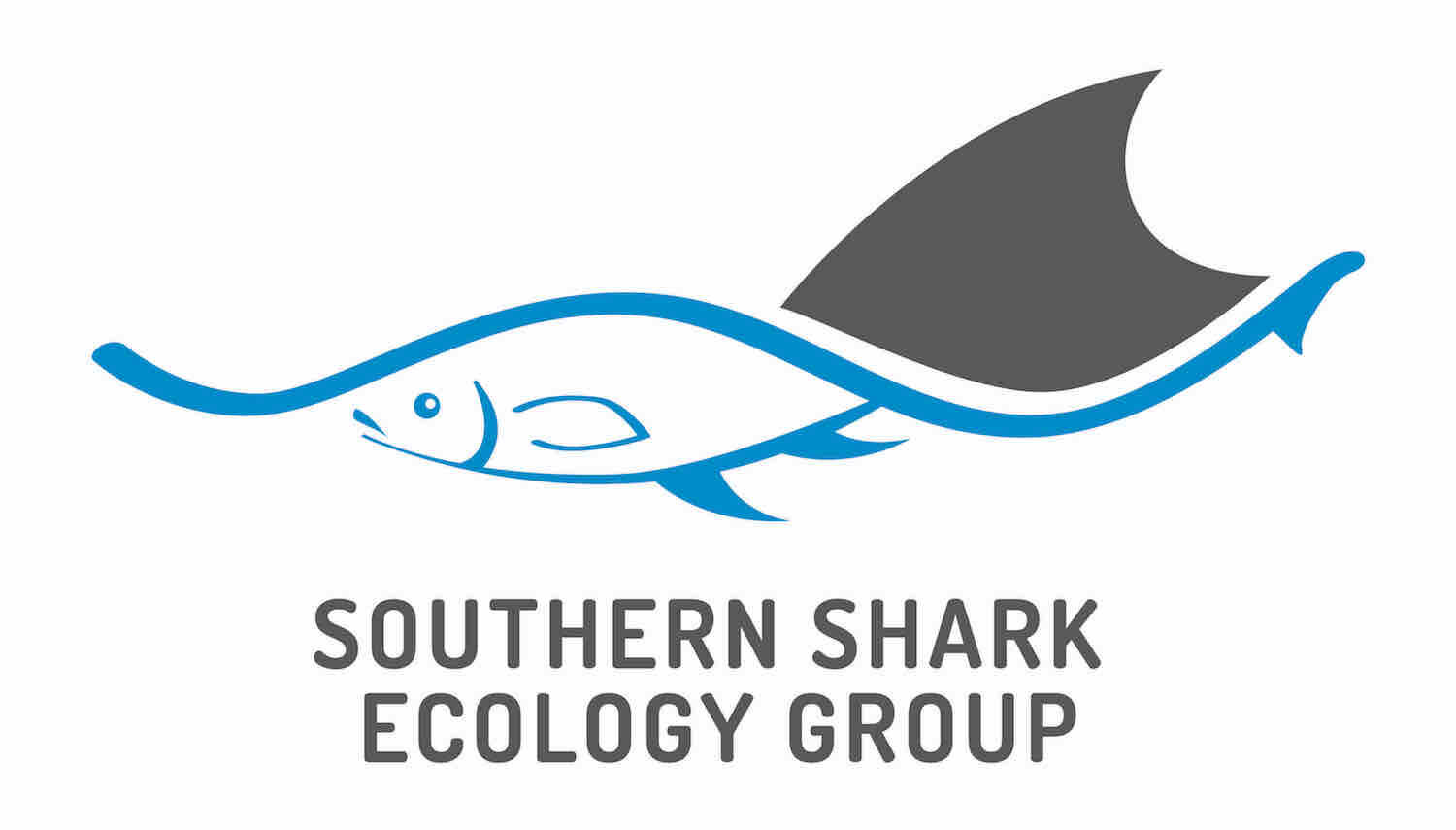 southern-shark-ecology-group-sseg-logo.jpg
