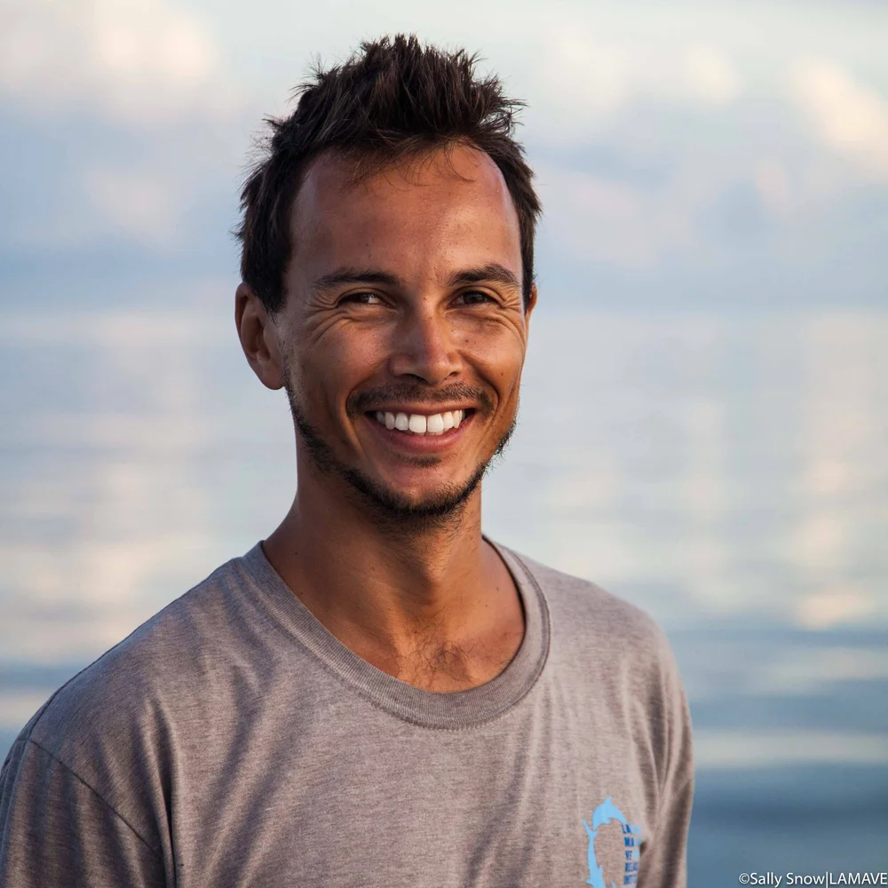 Meet the LAMAVE team — Large Marine Vertebrates Research Institute ...