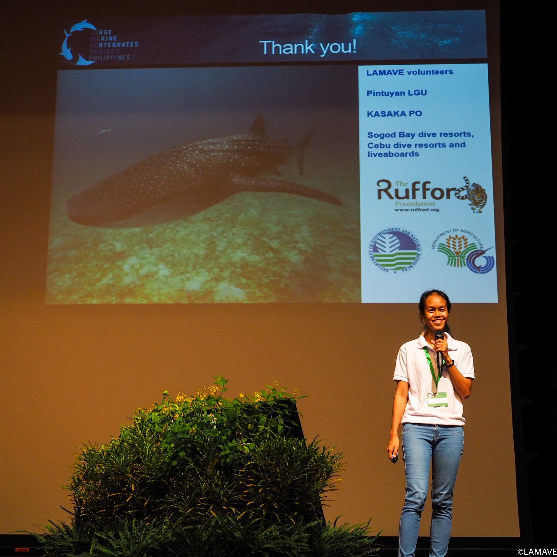 jessica labaja lamave conference presentation on whale sharks