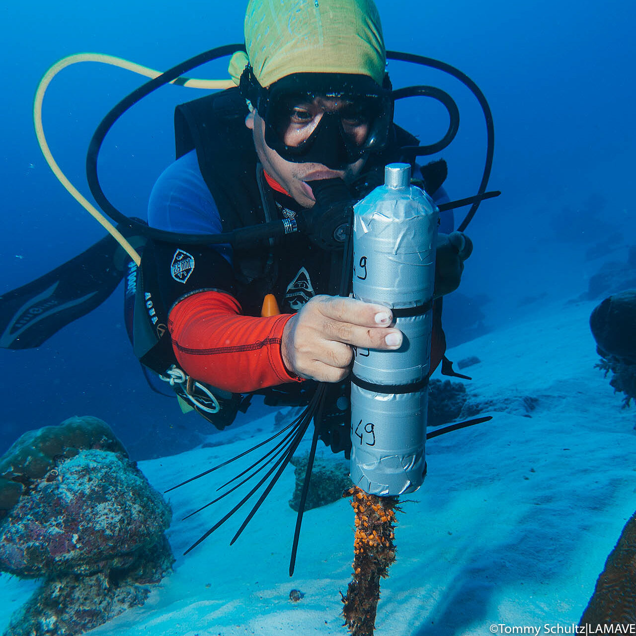 researcher with acoustic receiver underwater