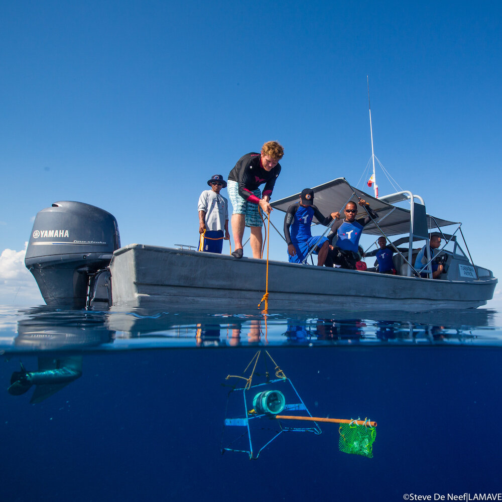 lamave team deploy a bruvs for shark research