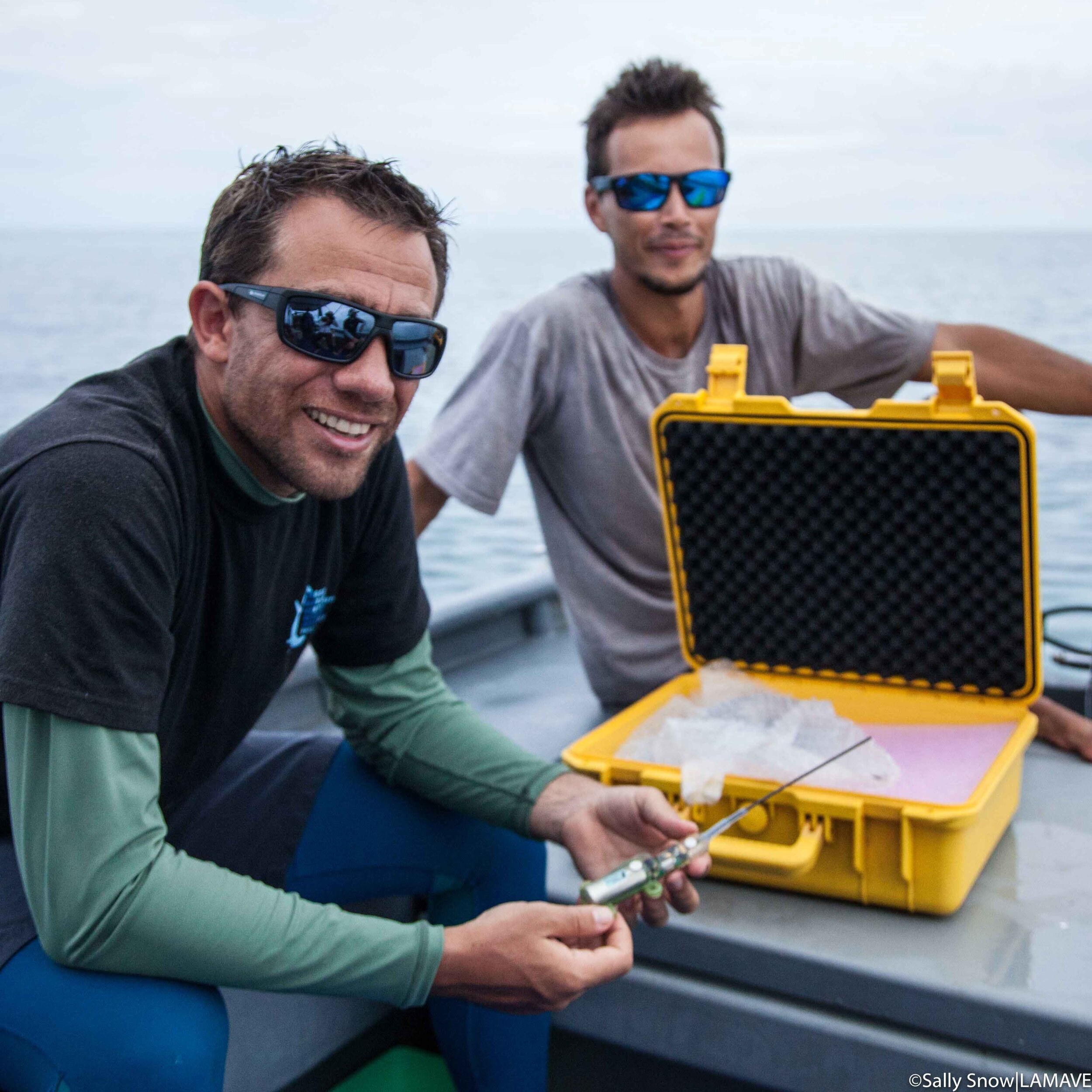 lamave researchers holding satellite tags