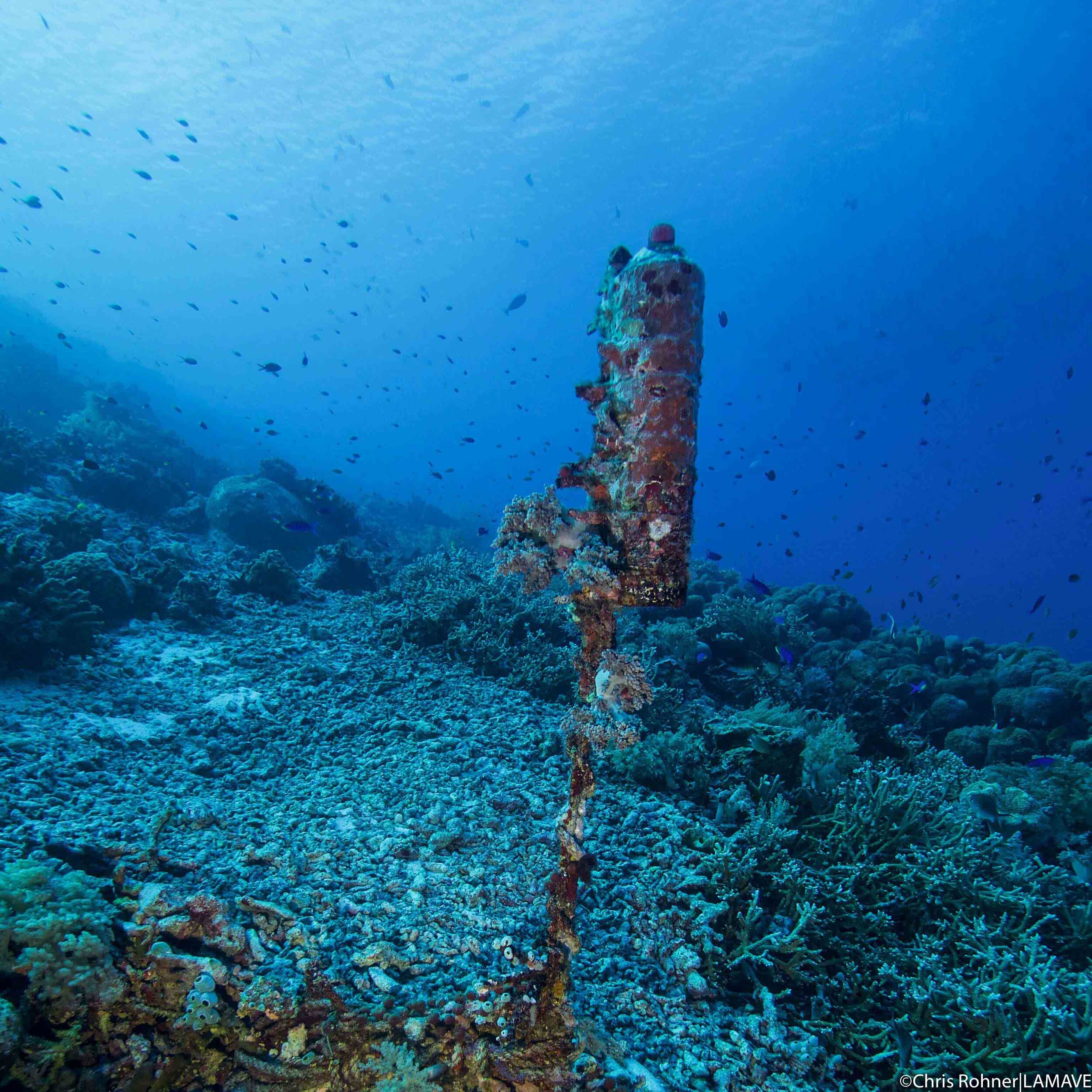 acoustic receiver positioned on a reef
