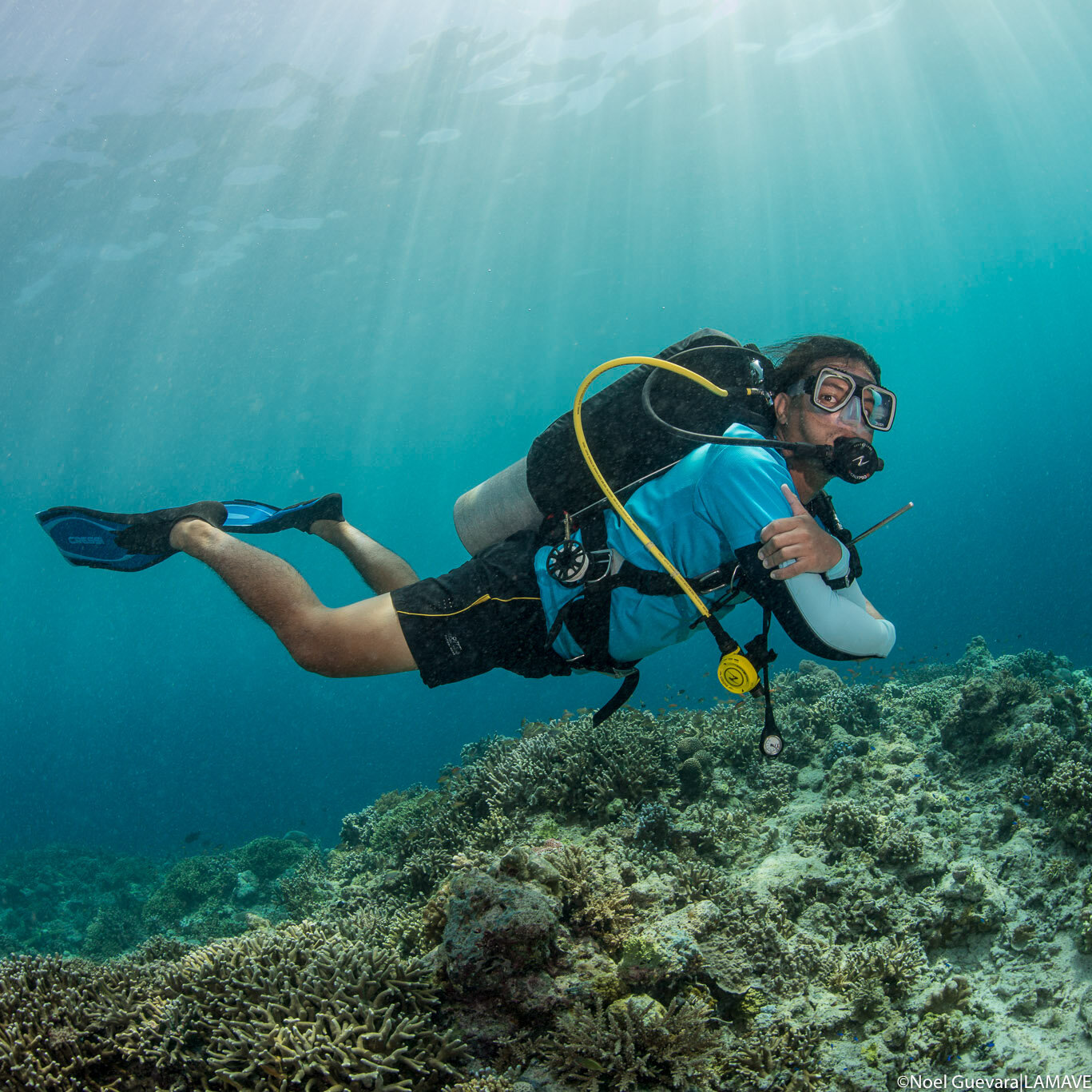 tubbataha management office diver