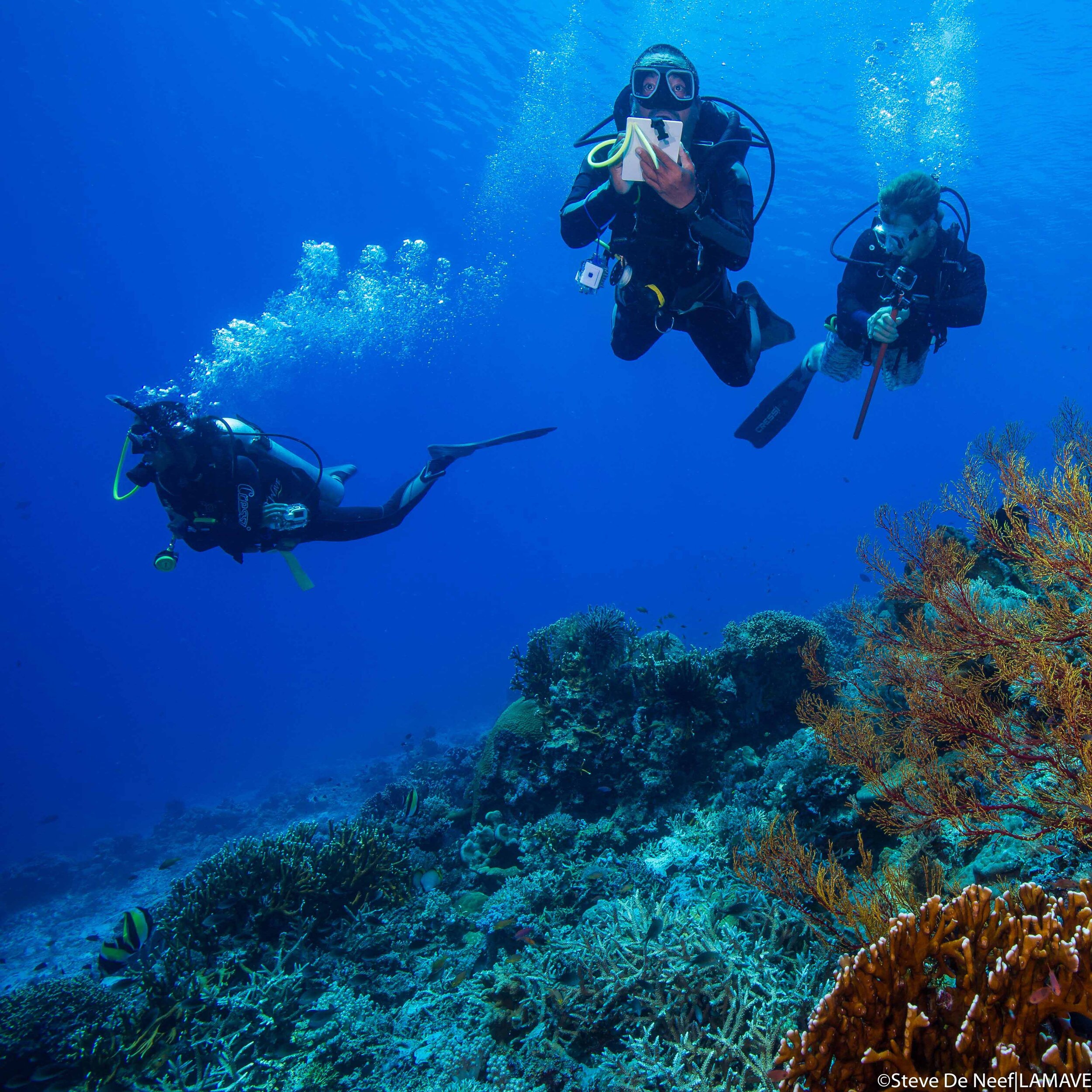 researchers in tubbataha reefs