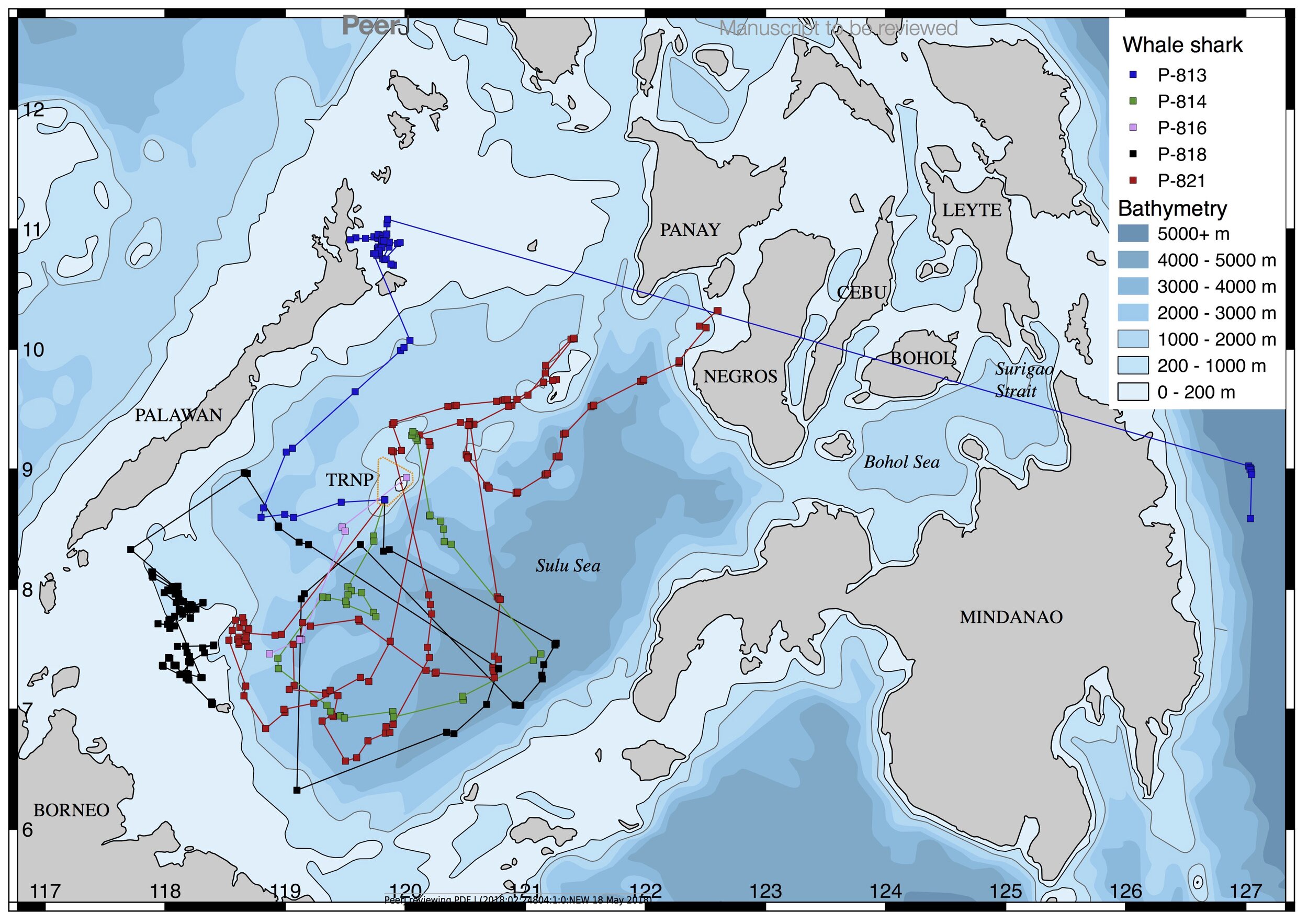 map of whale shark satellite tag tracks