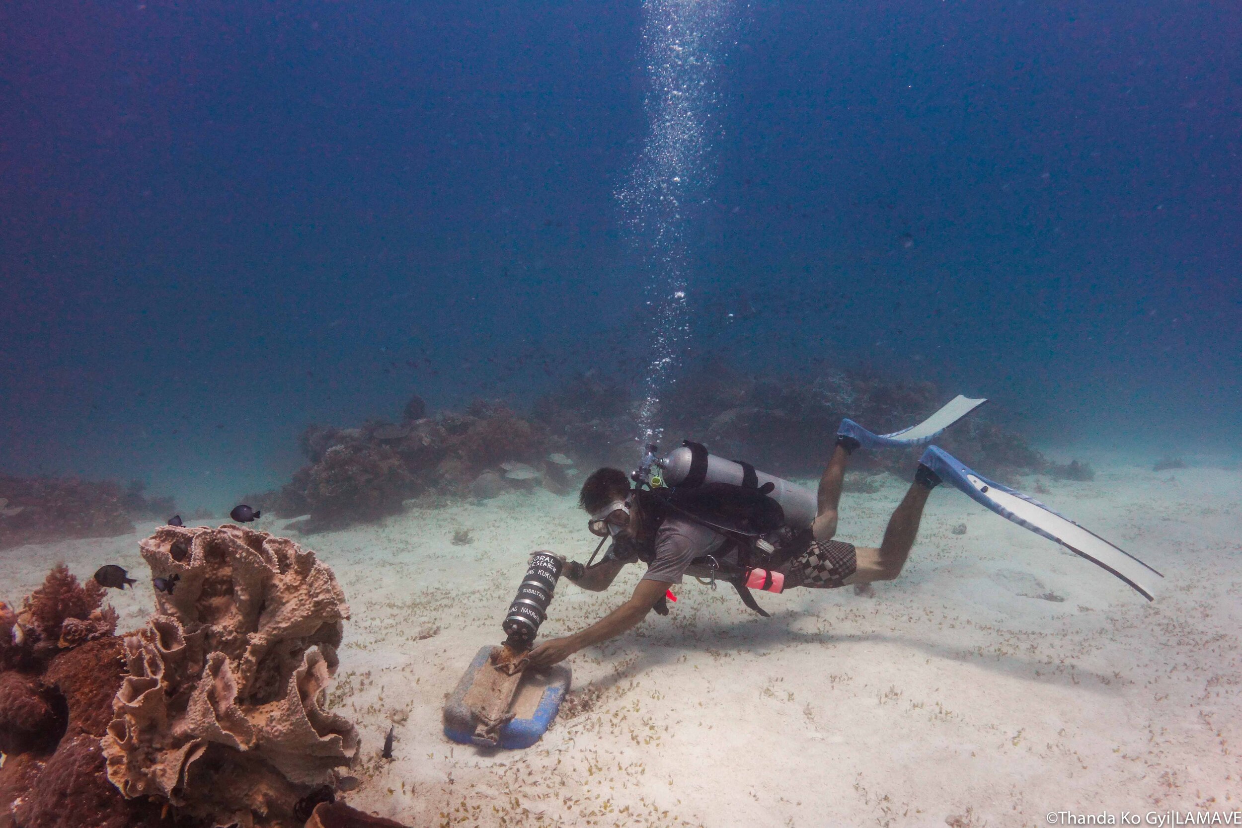 remote-underwater-video-ruv-research-diver-thanda-ko-gyi-lamave-05148 copy.jpg