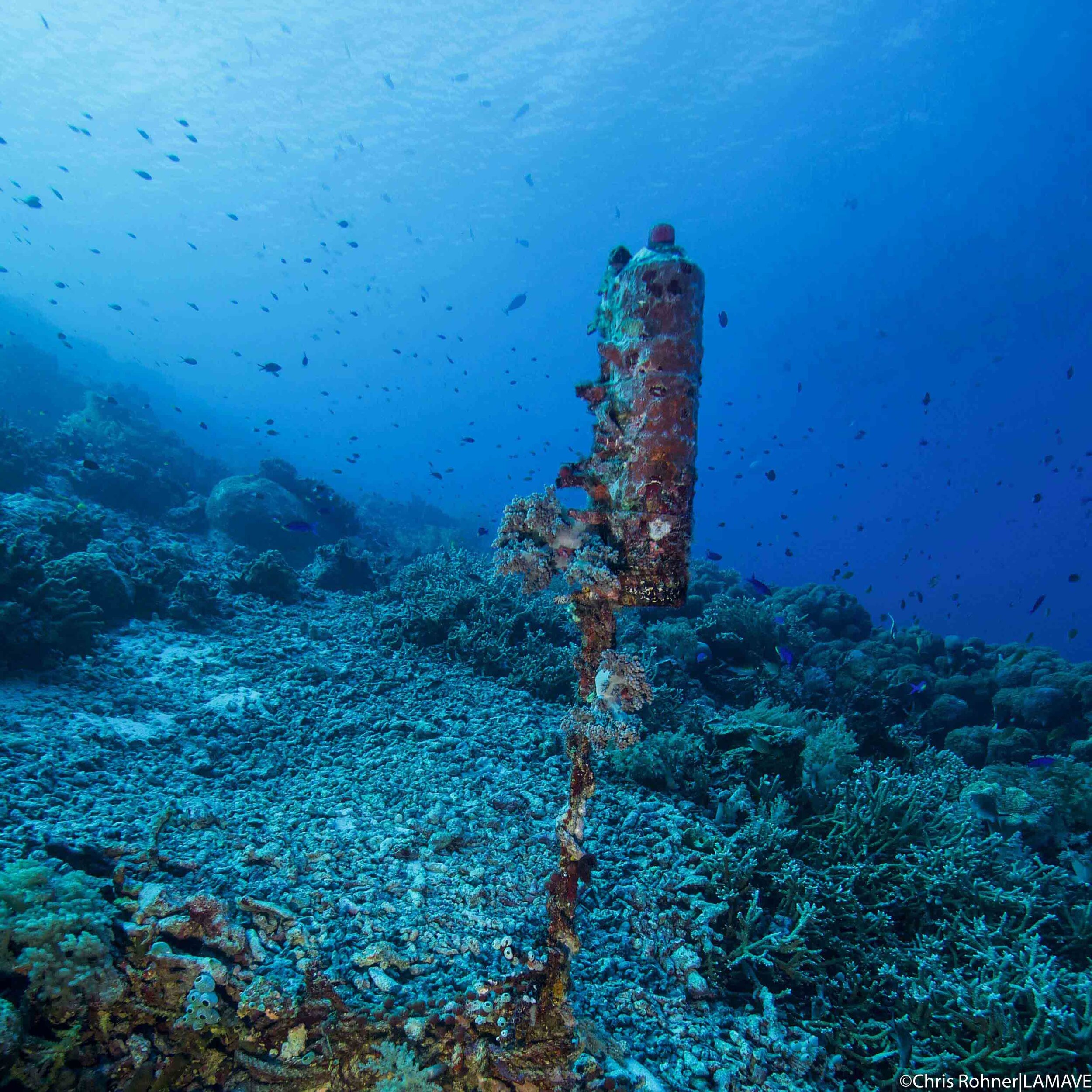 acoustic receiver used by lamave to study sharks in the philippines