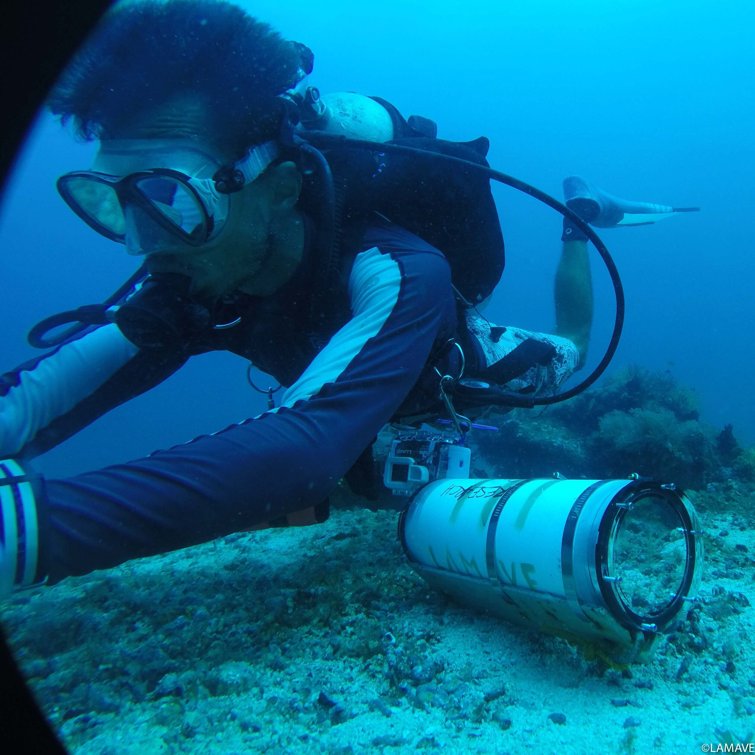 lamave researcher deploys a remote underwater video to study manta rays