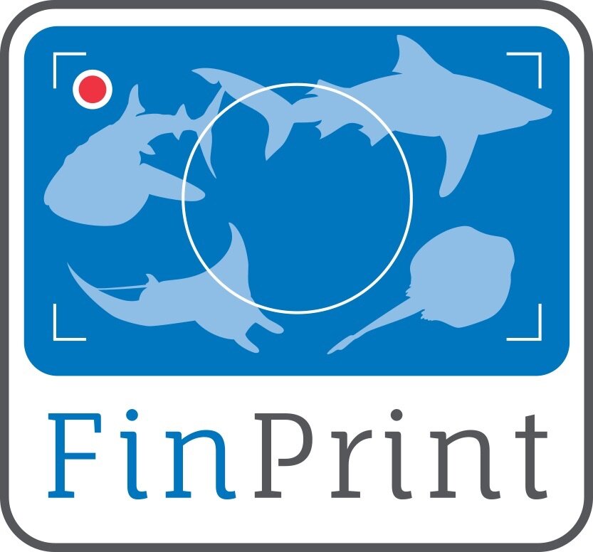 global-fin-print-logo.jpg