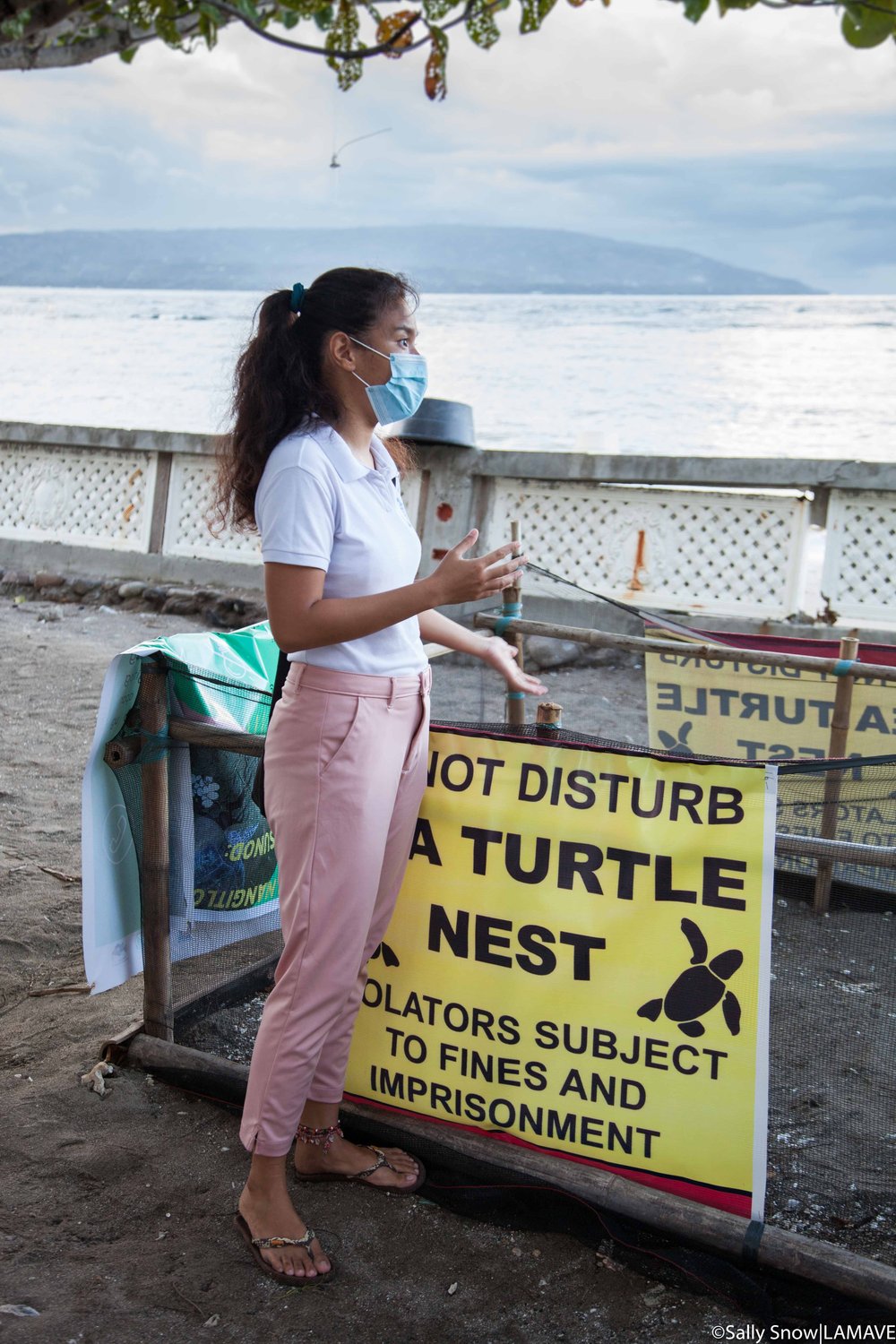  Checking a turtle nest that was relocated after being flooded by the high-tide 