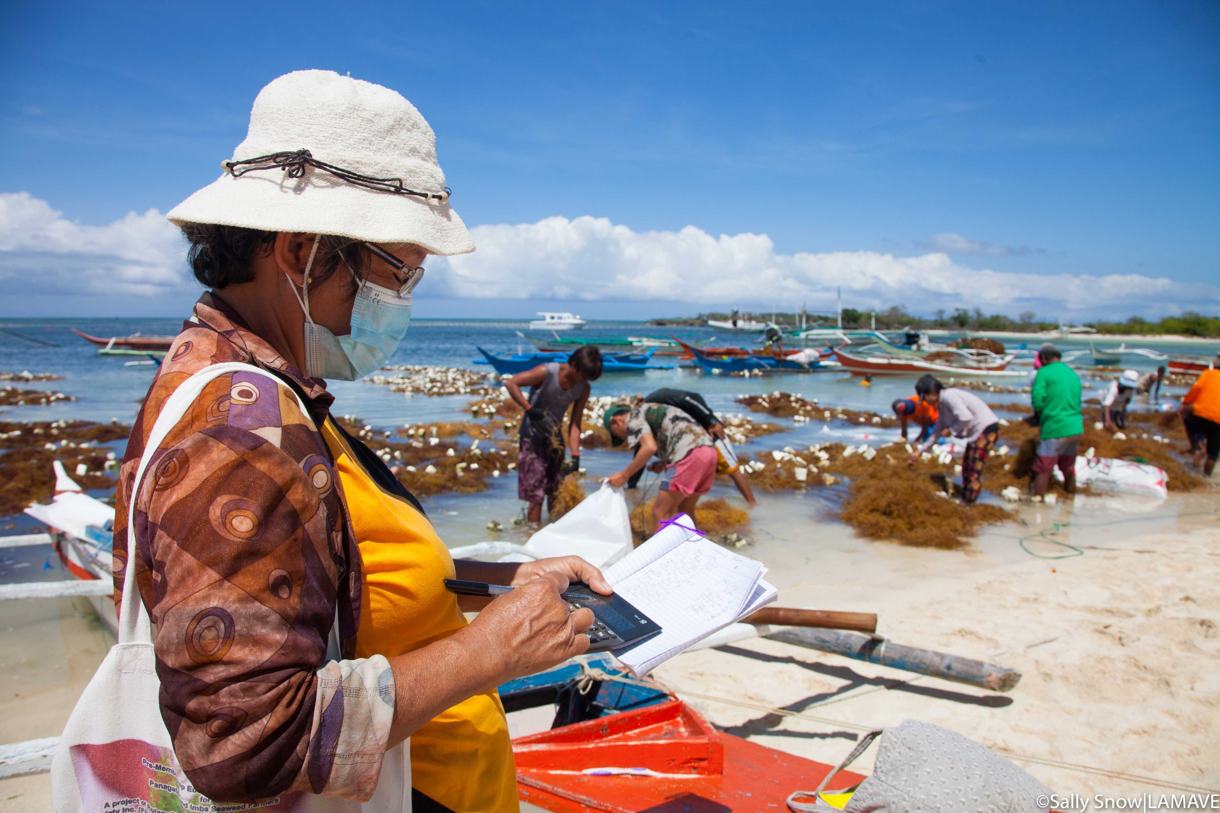 Logging the quantity of seaweed sent to the lansia.