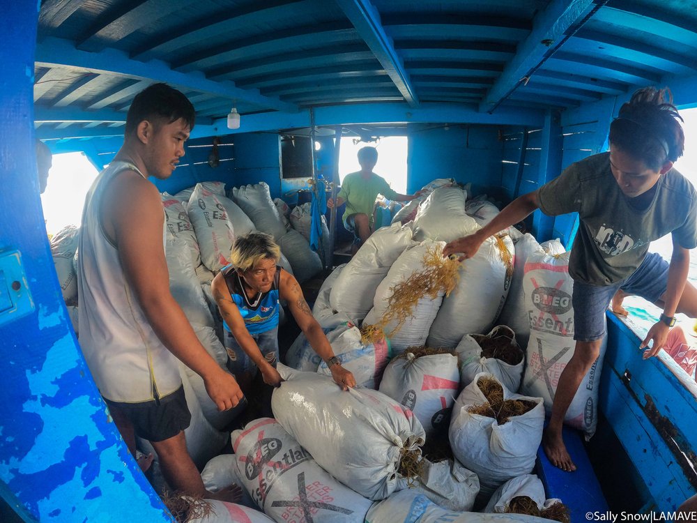 The crew loading the lansia