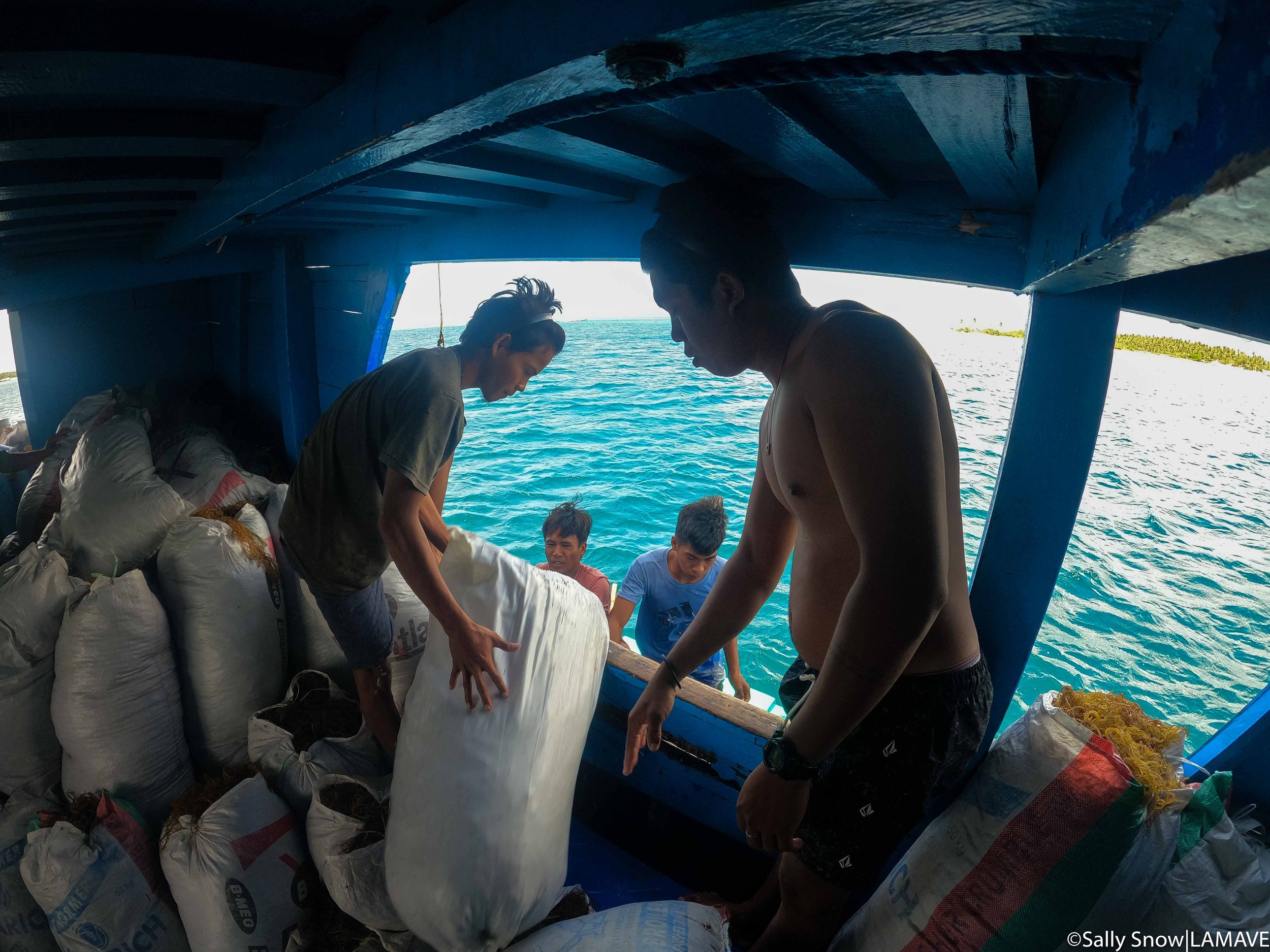 Bags of seedlings came by bangka to load onto the main lansia.