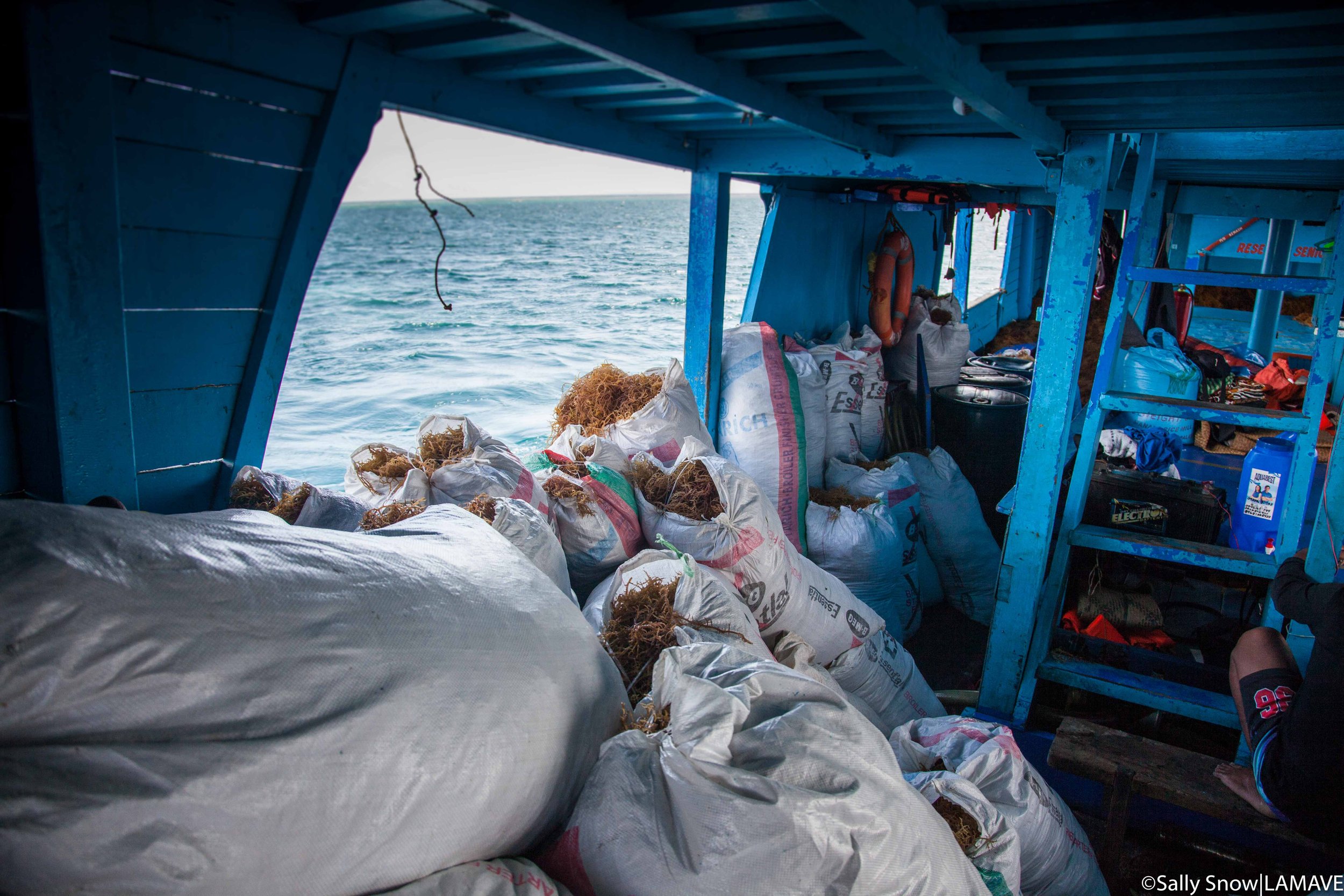 A view from inside the lansia during the travel back to Cagayancillo.