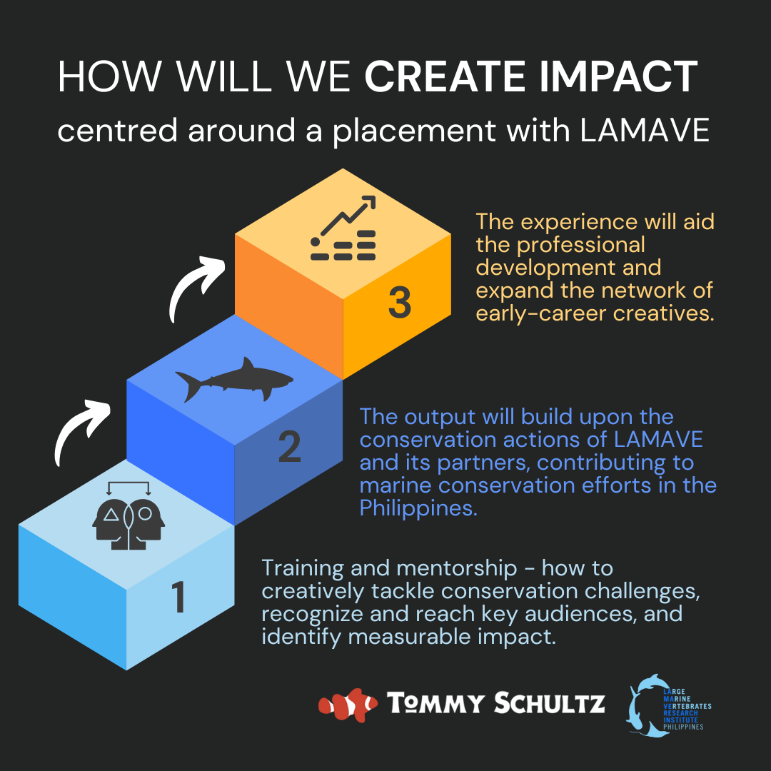 creating_impact_lamave_tommy_schultz.png