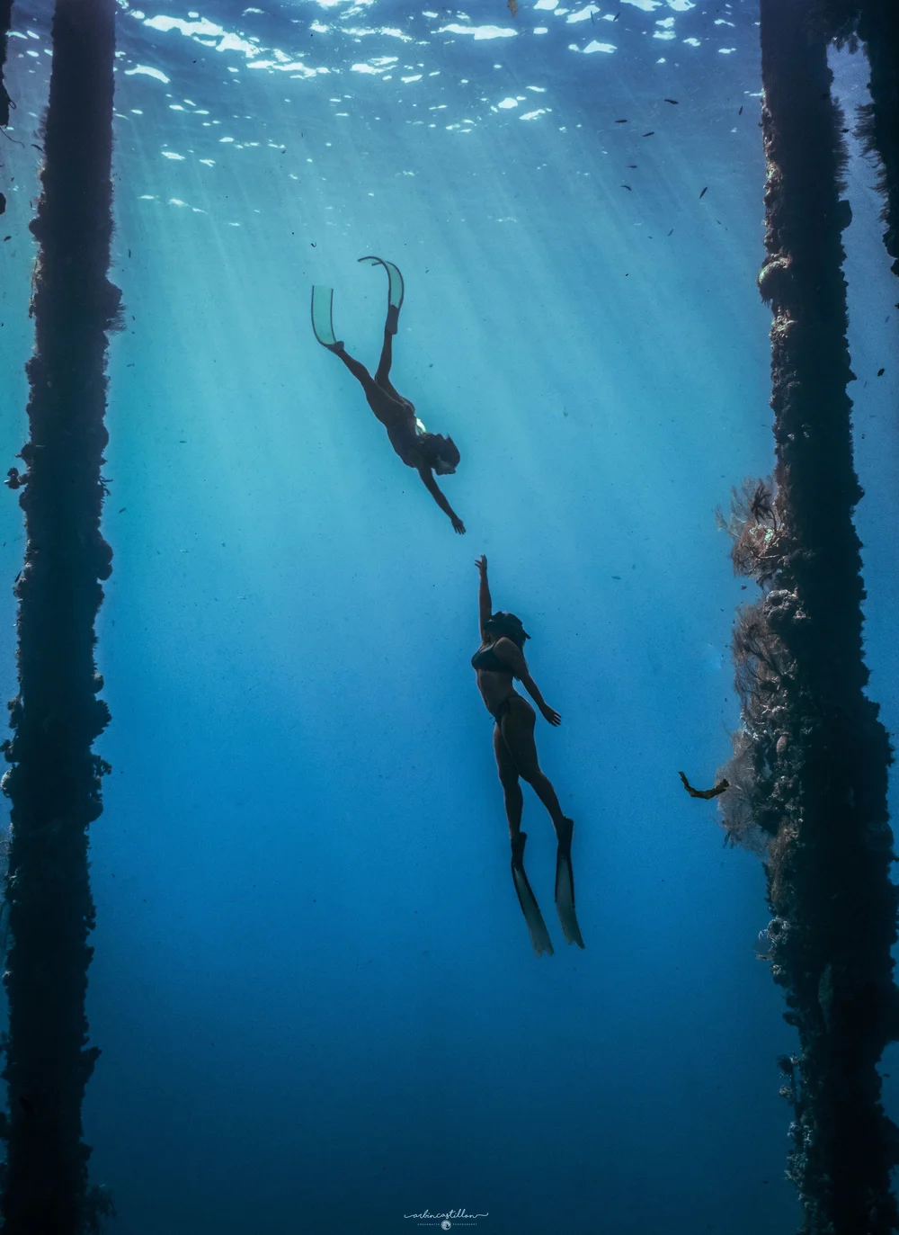 Underwater - 8 of 10.jpeg