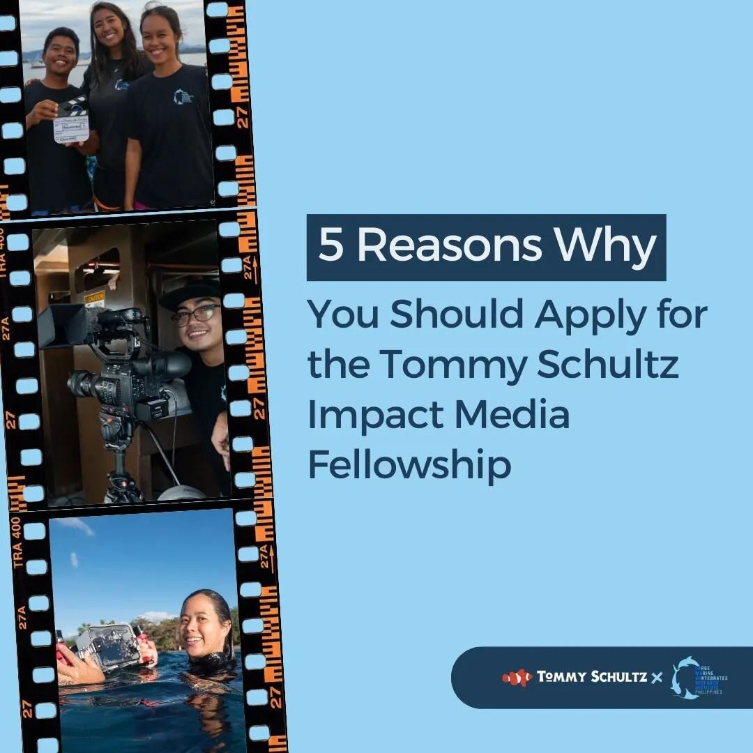 📣 Only 5 days left to apply and become our 2023 Tommy Schultz Impact Media Fellow! Don't miss out &mdash; apply by visiting https://lamave.org/tsimf-apply-now