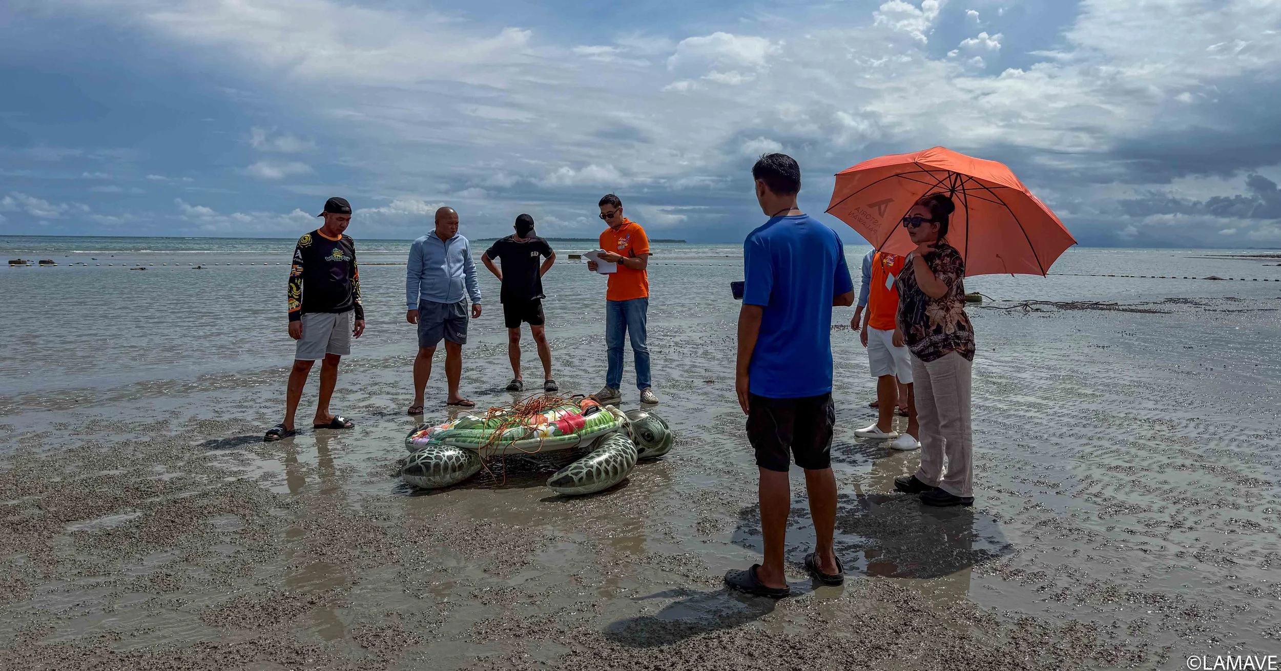 lamave-marine-animal-stranding-training-credit-lamave-3.jpg