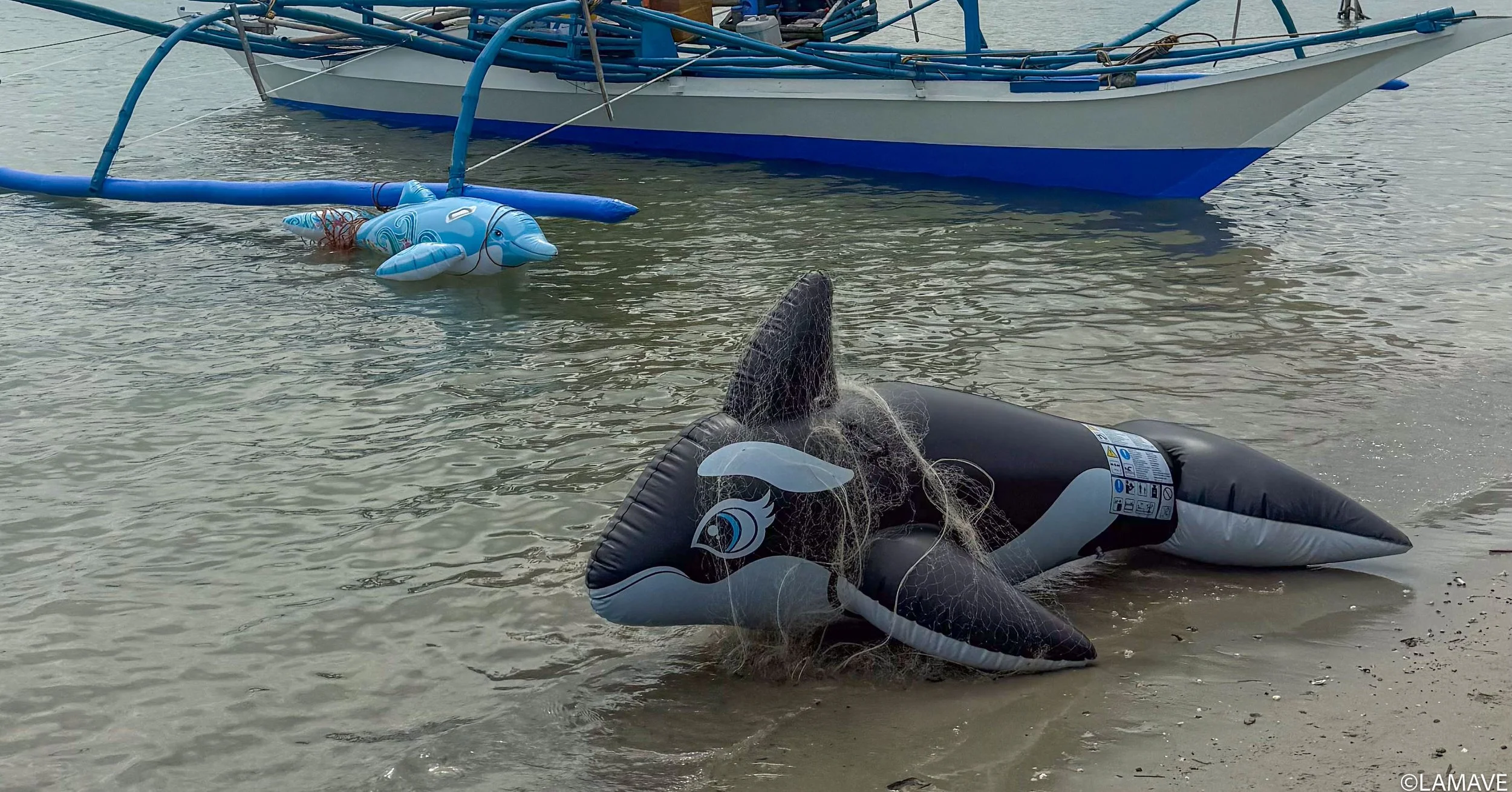 lamave-marine-animal-stranding-training-credit-lamave-10.jpg