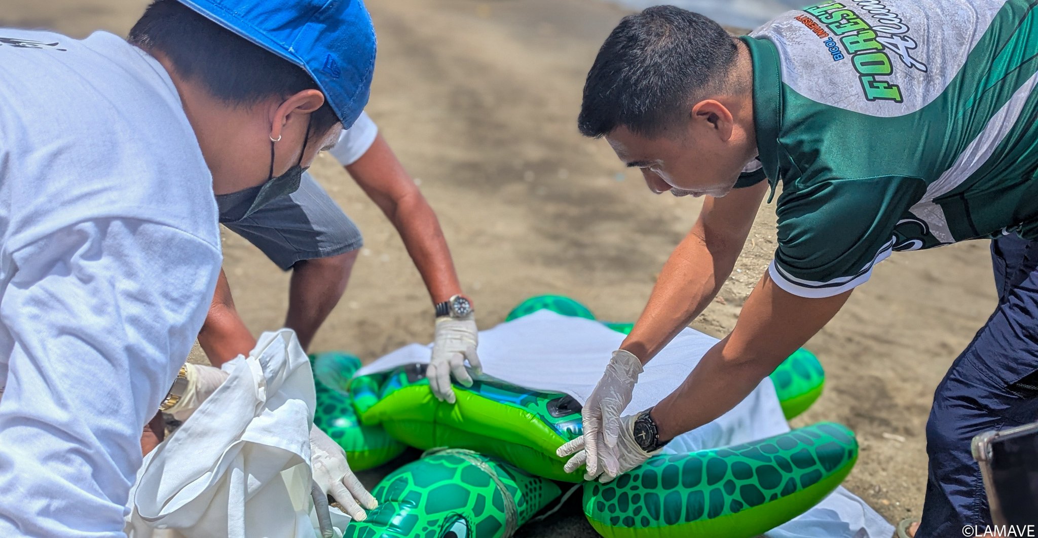 lamave-marine-animal-stranding-training-research-credit-lamave-4.jpg