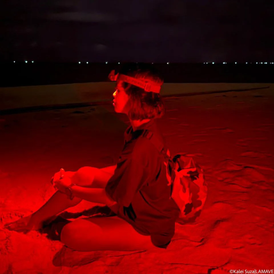 turtle-nesting-research-conservation-credit-kalei-suza-lamave-1-2.jpg