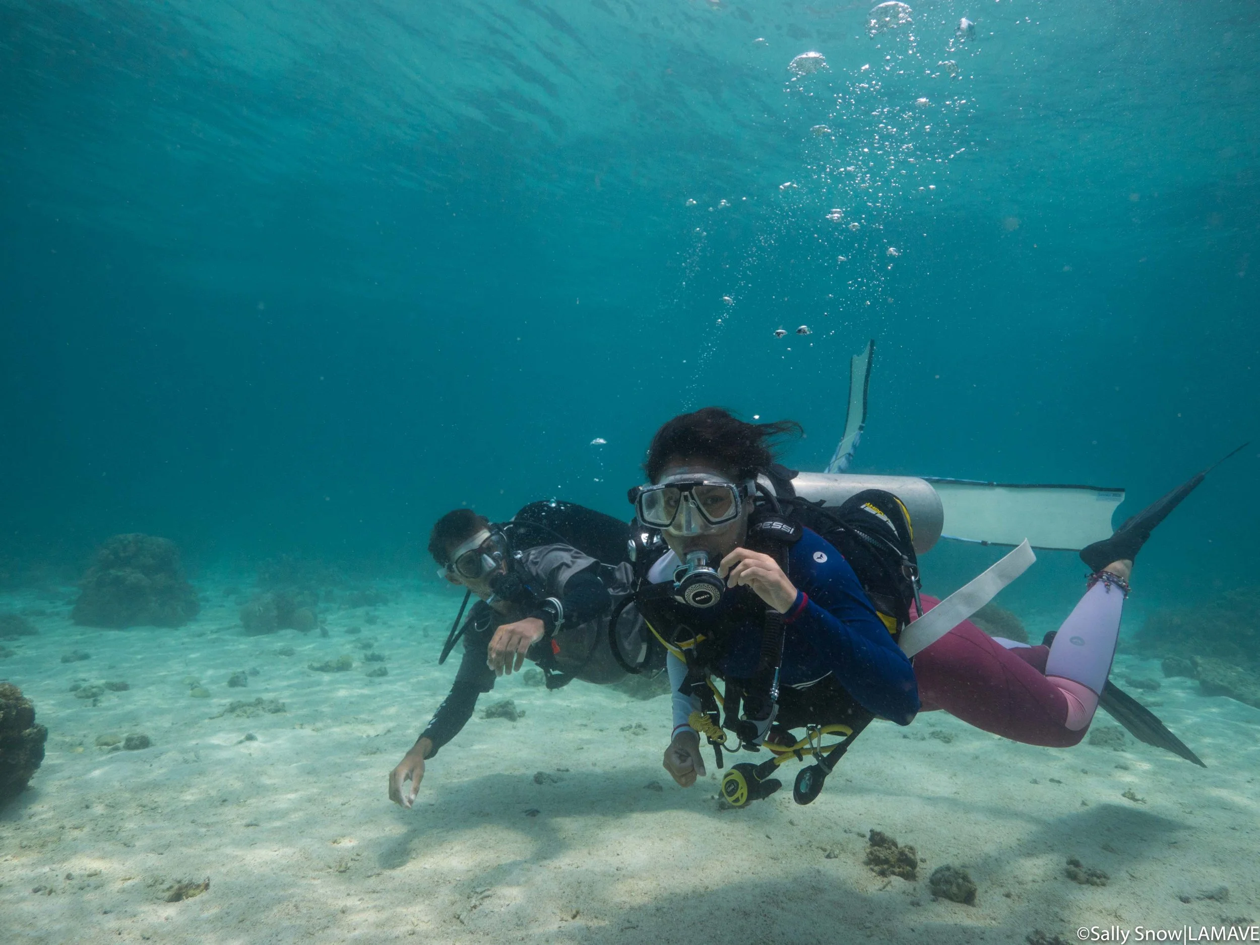 ticao-underwater-2019-lamave-watermarked-1850211.jpg