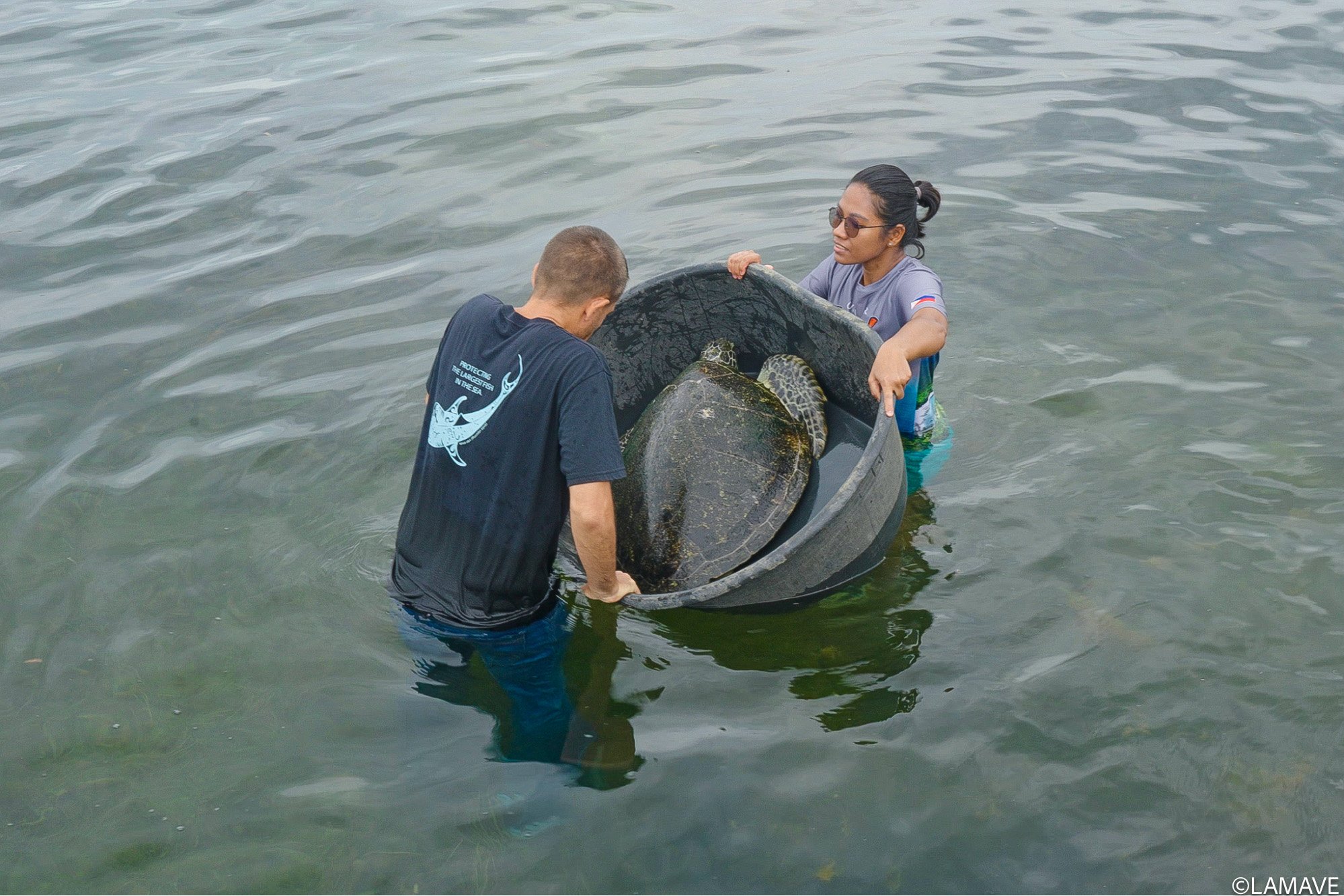 watermarked-pawikan-rescue-rehab-lamave-pps-city-enro-pscd-credit-lamave-3.jpg