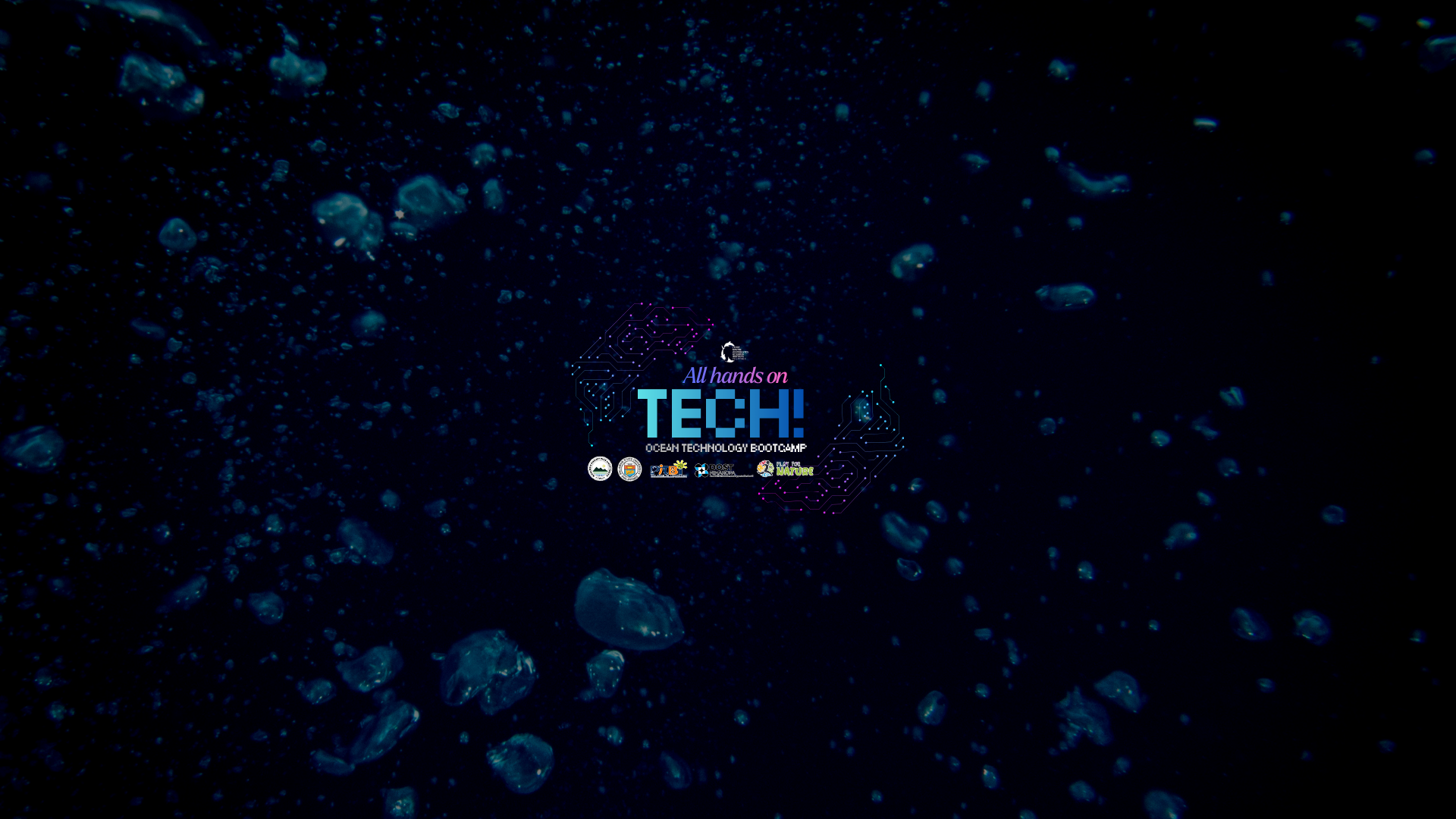 Untitled design (9).png