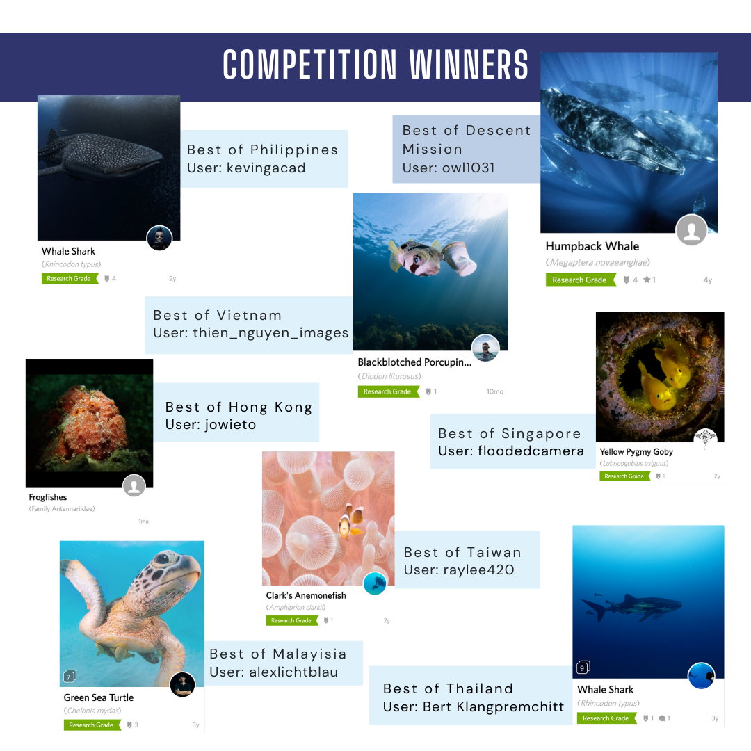 Every dive counts photo competition winners poster