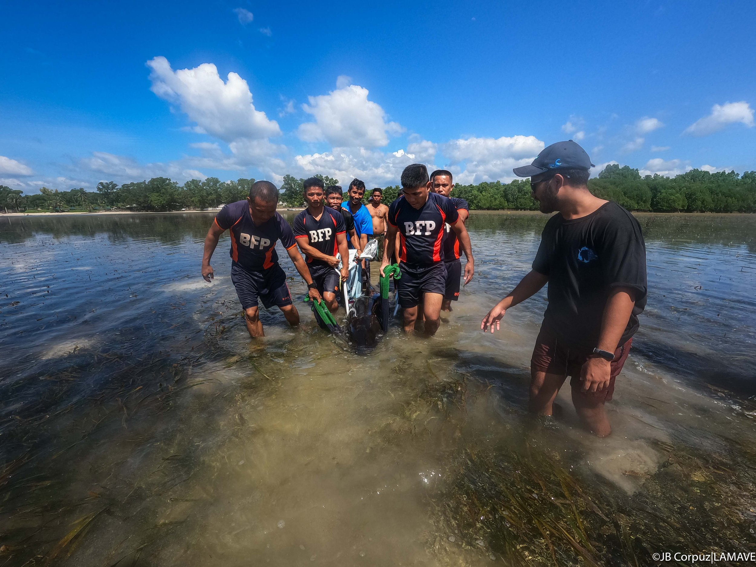 stranding-puerto-princesa-aug-2023-lamave-watermarked-credit-jb-corpuz-lamave-2.jpg