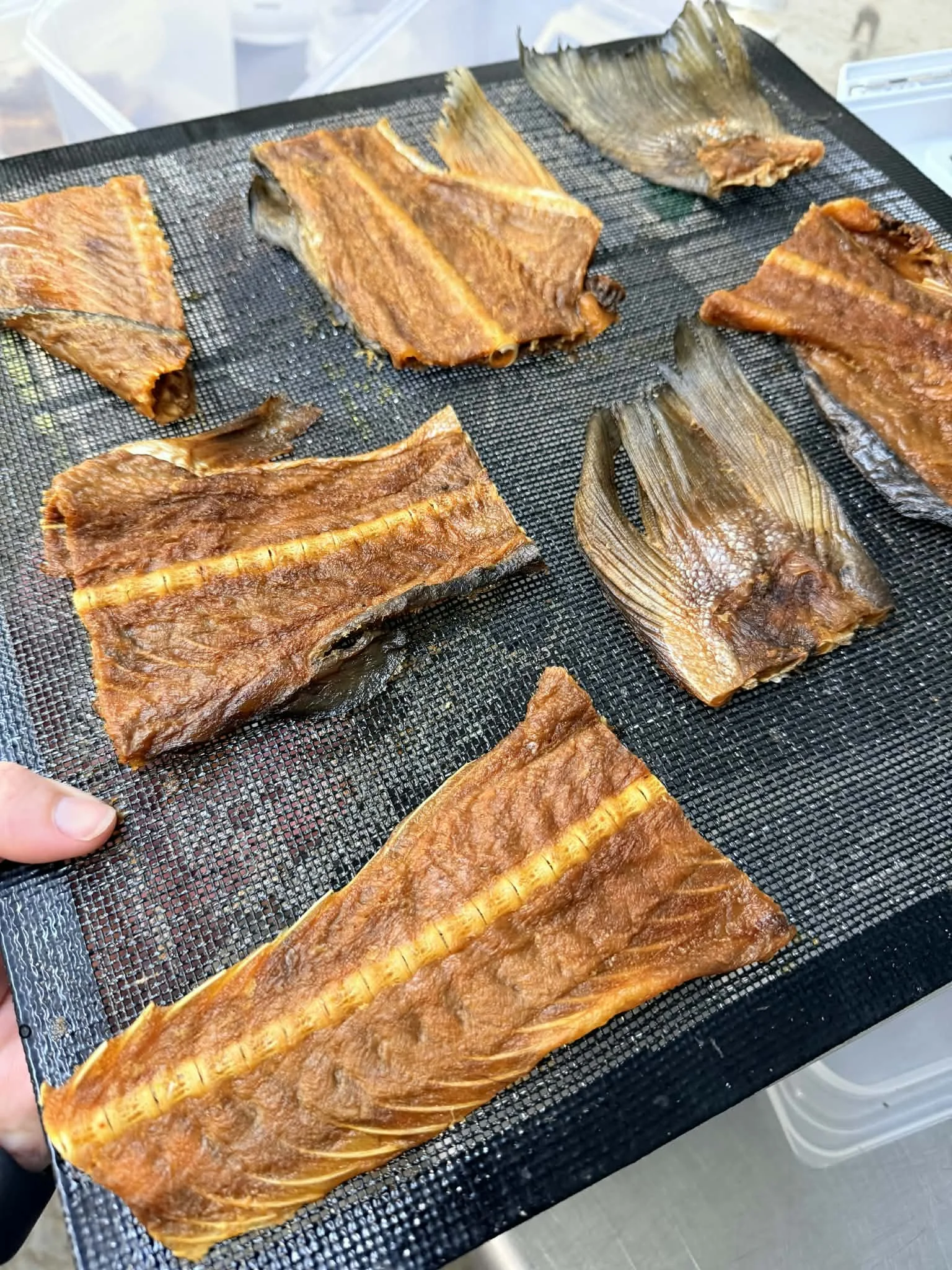 Salmon Frame Pieces