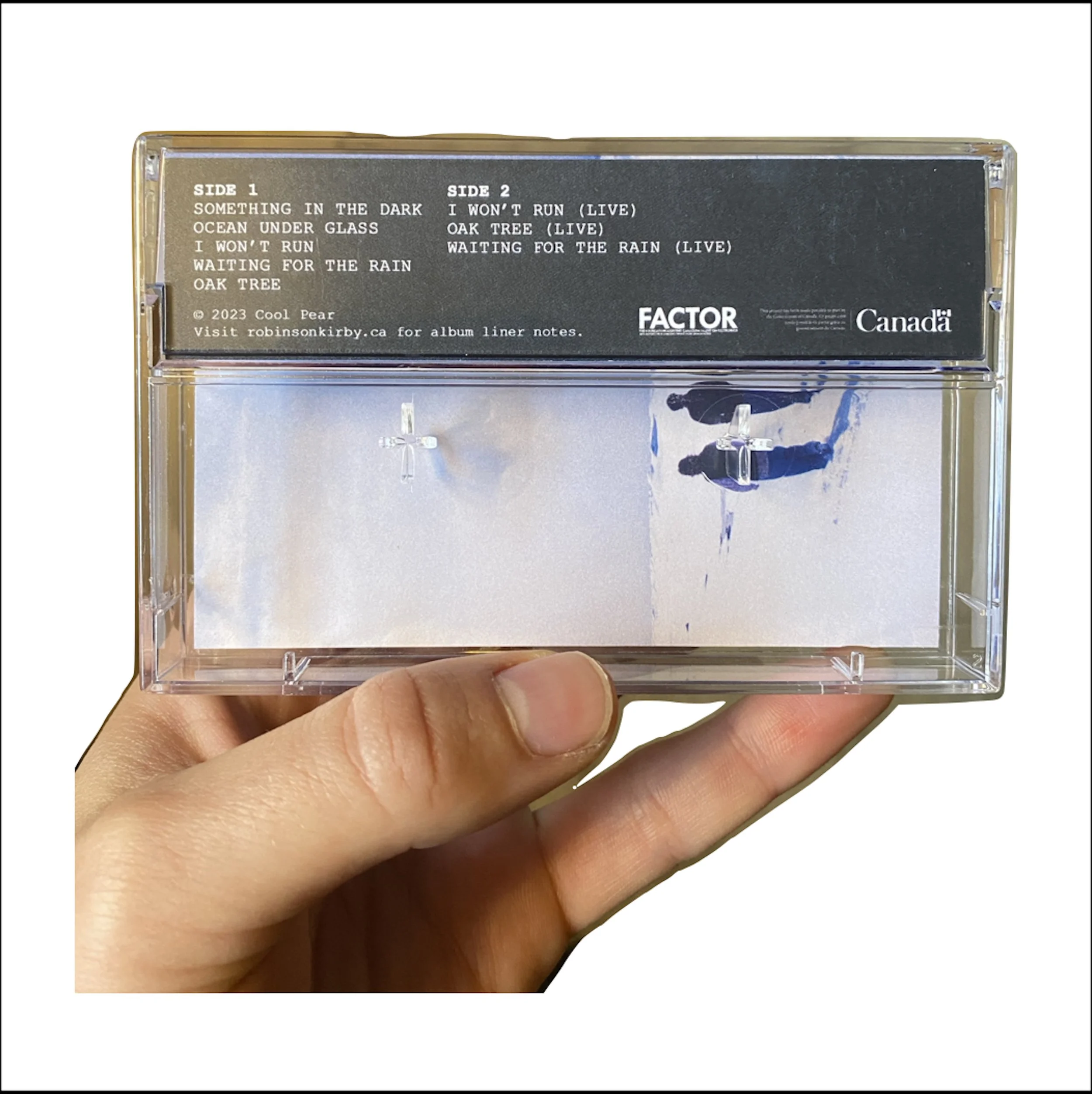 cassette pic back.jpg